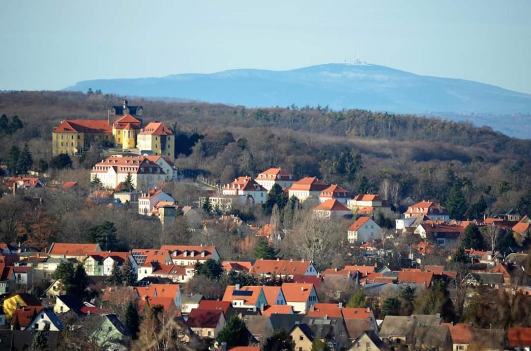 Villa Harzblick