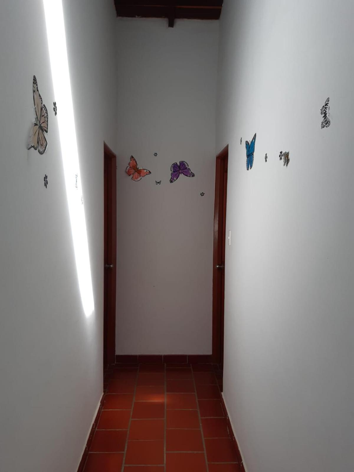 Photo 33