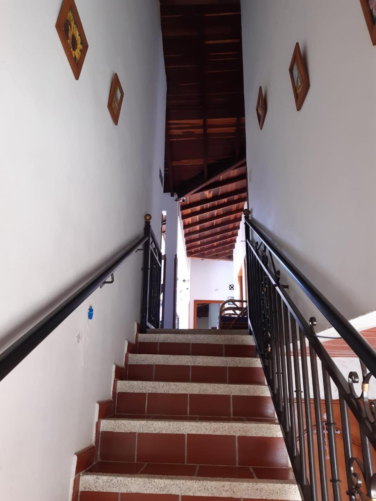 Posada San Luis view 5