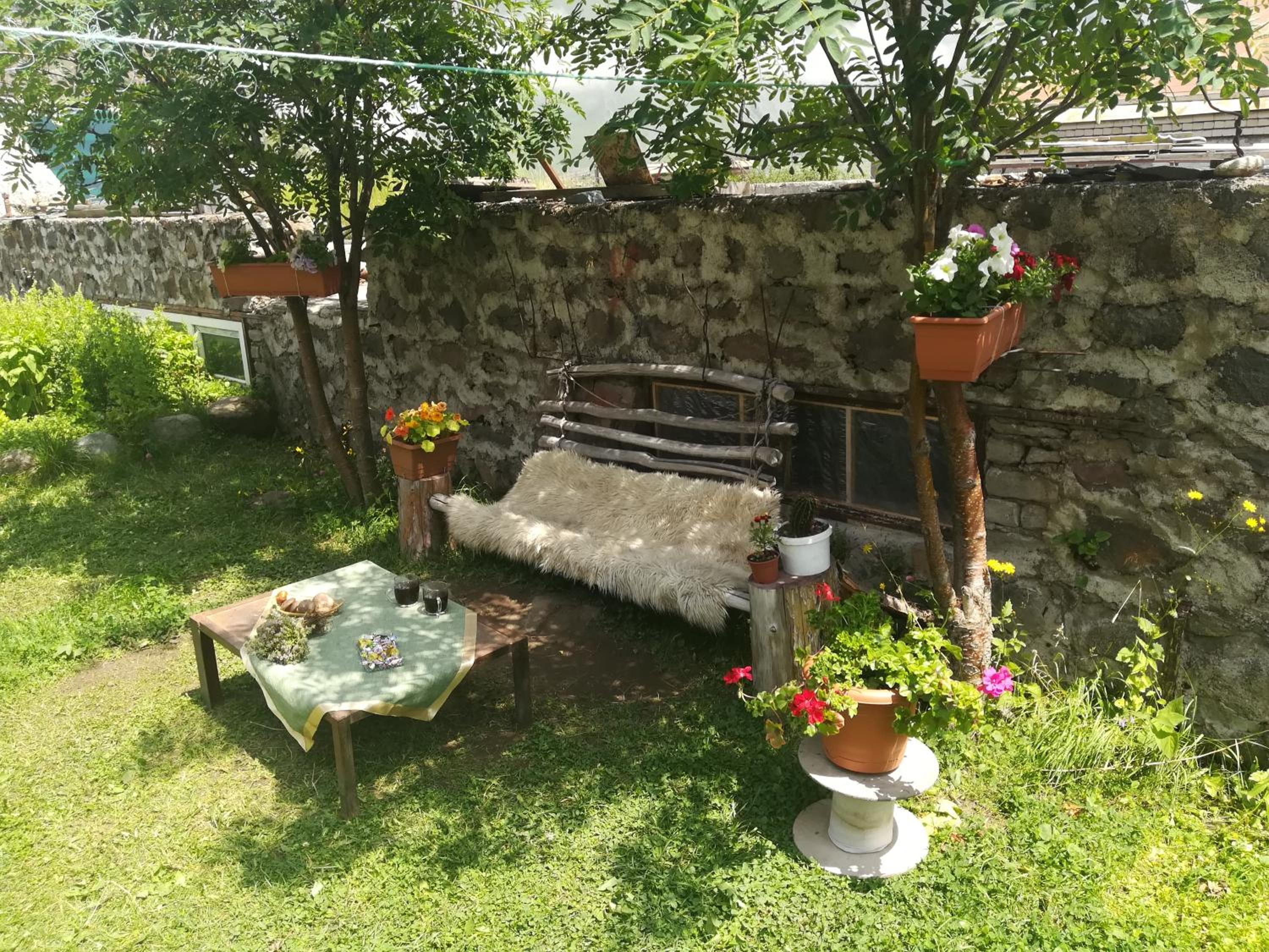 Photo 11