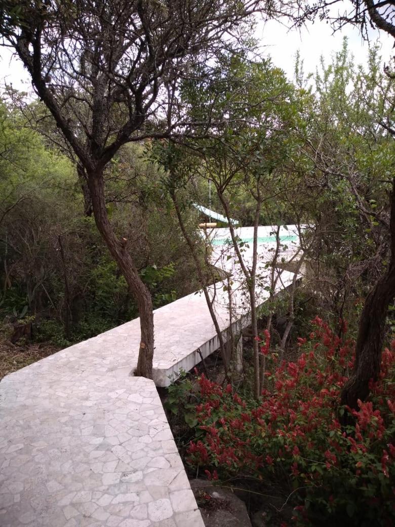 Casa Monte