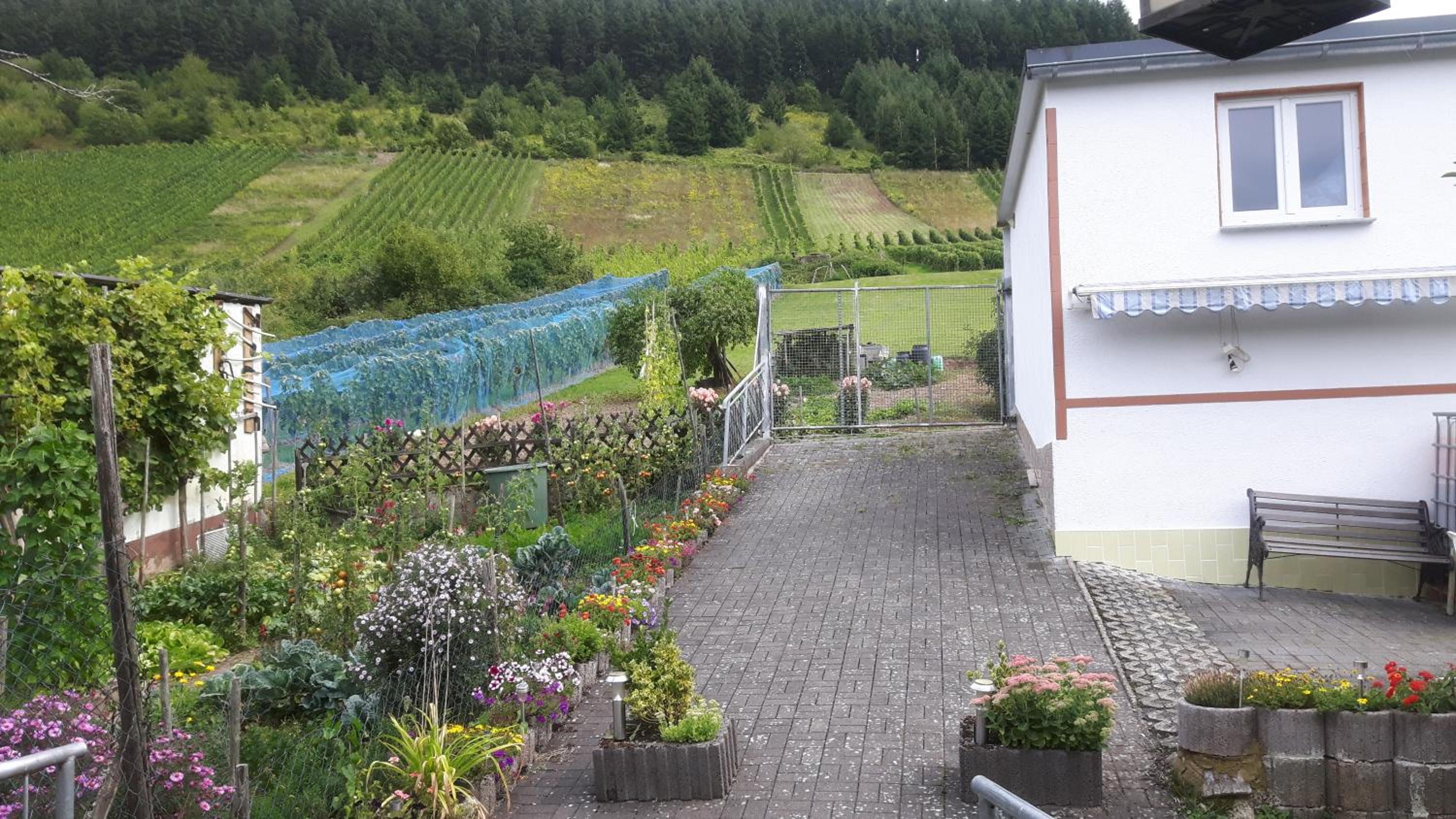 Zwei Ferienwohnungen "Im Weingarten " view 2