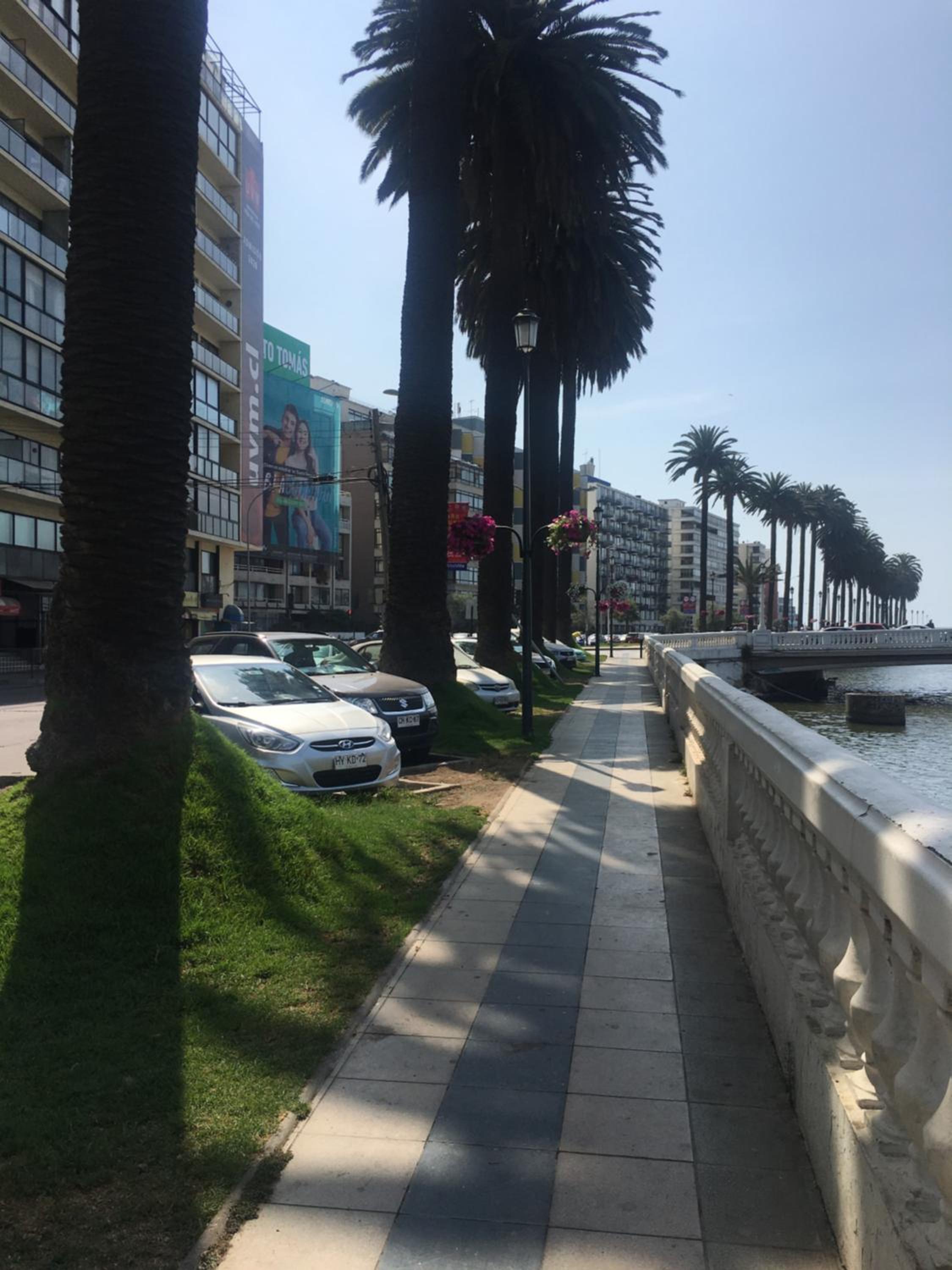 Avenida Marina 1