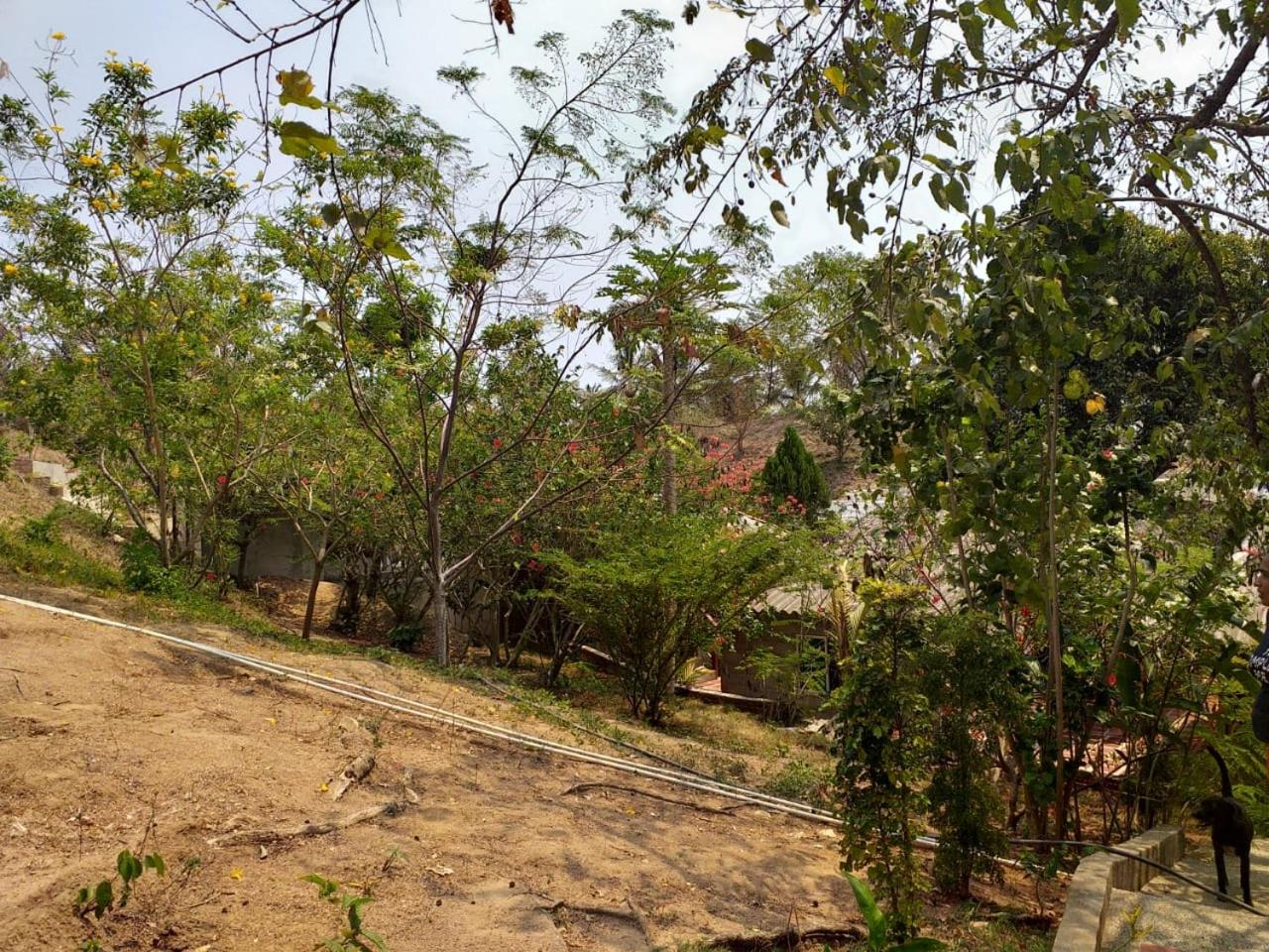 Hostal Recuerdos del Tayrona