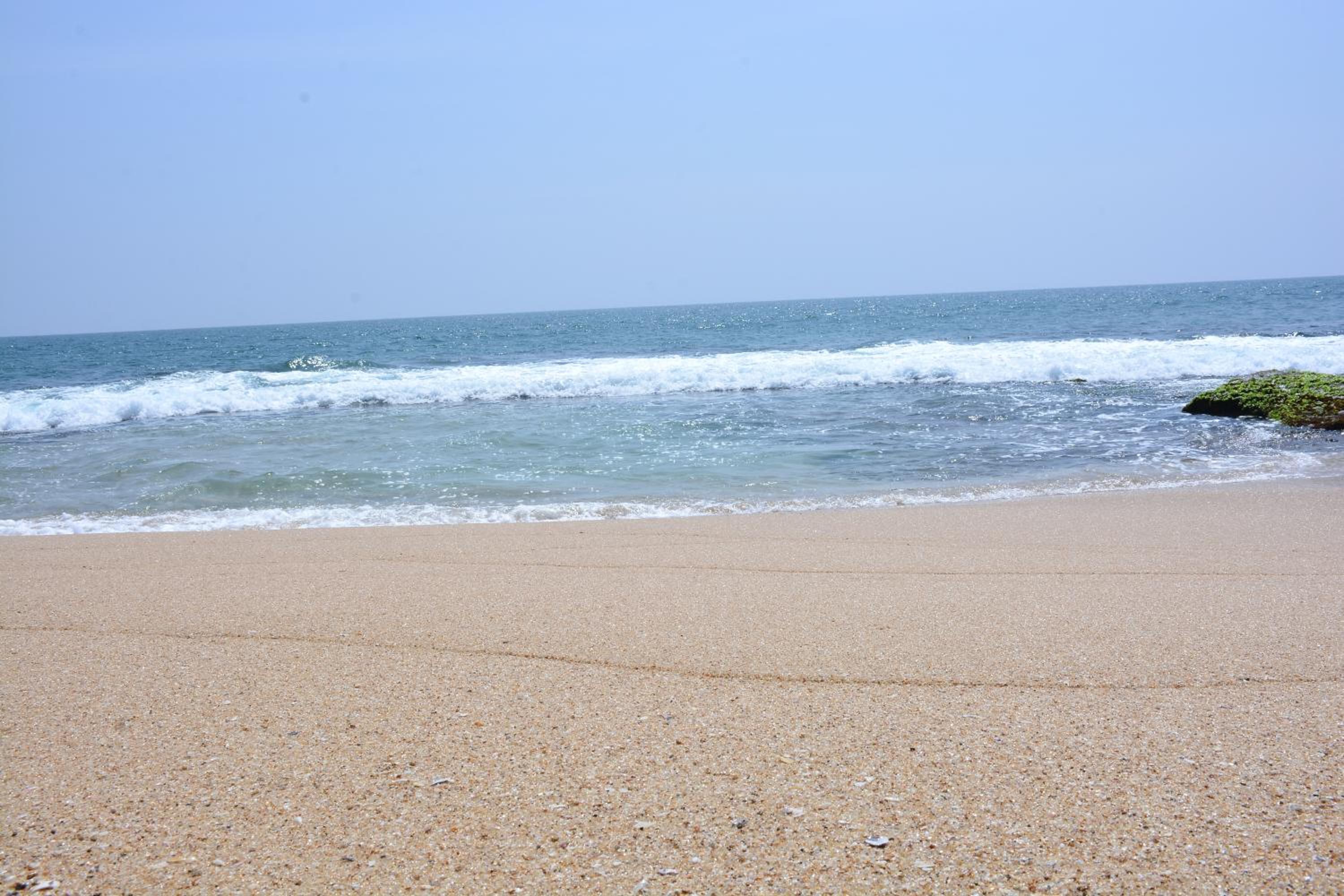 Photo 47