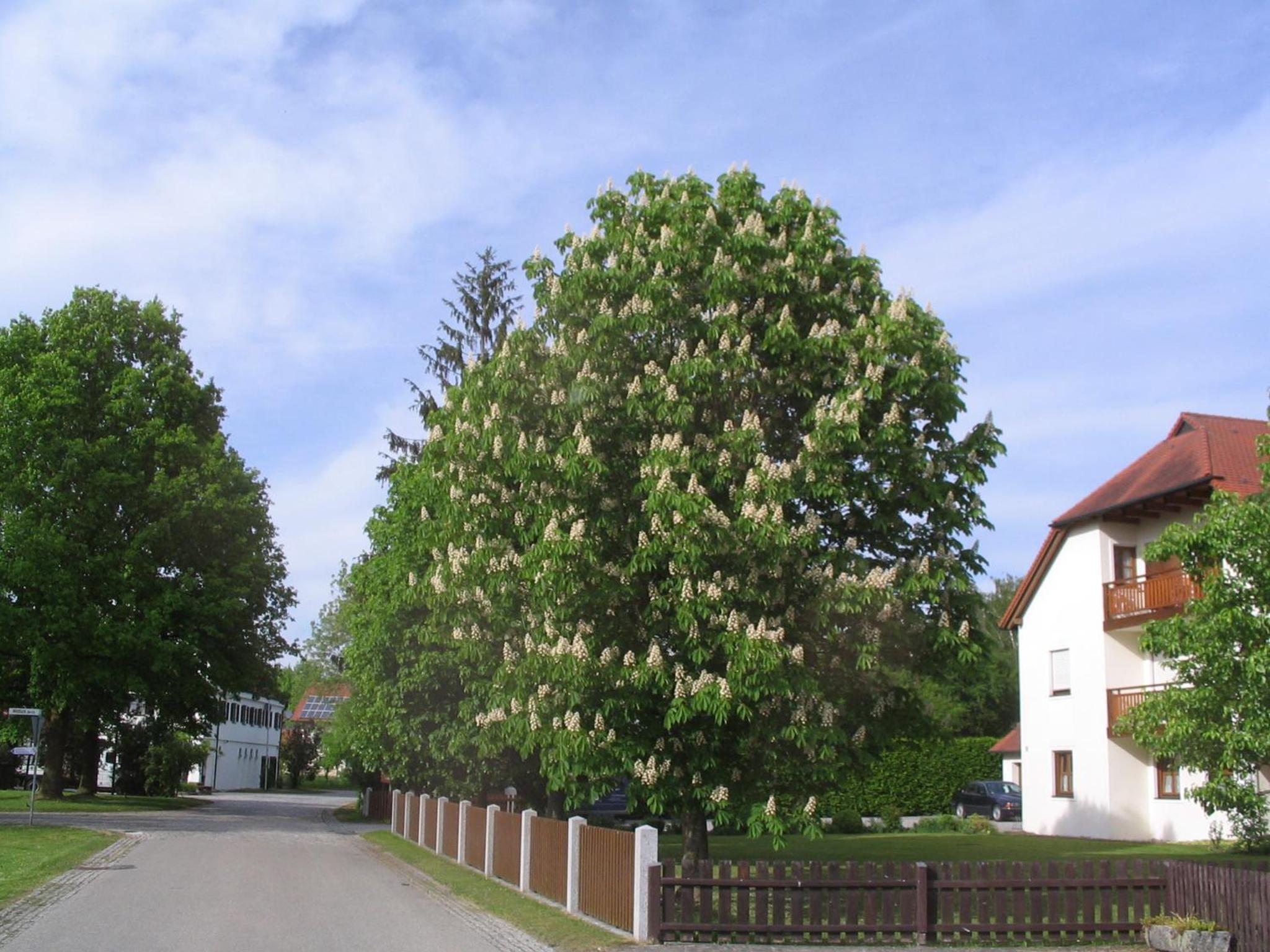 Pension Eva