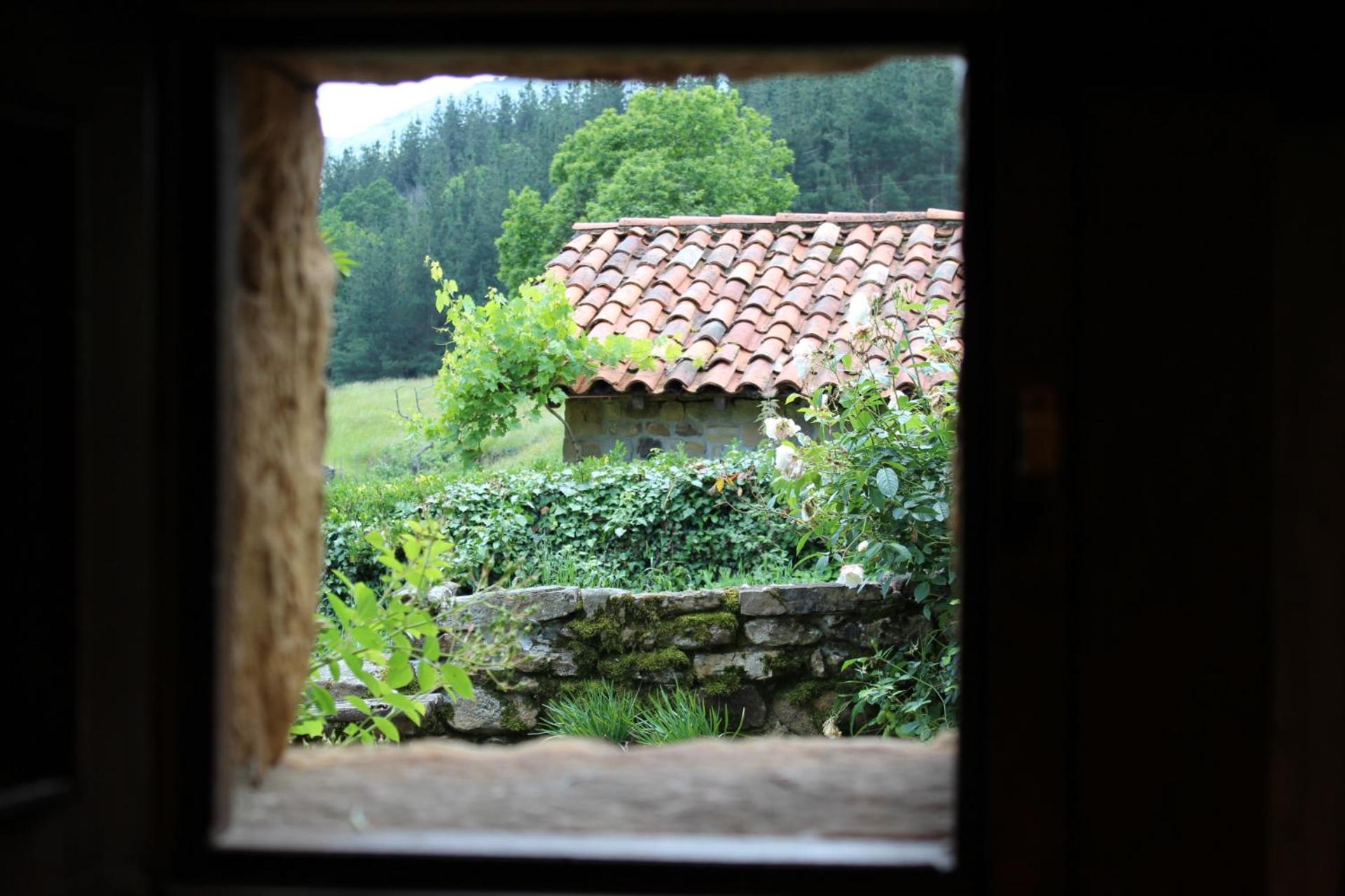 Photo 17