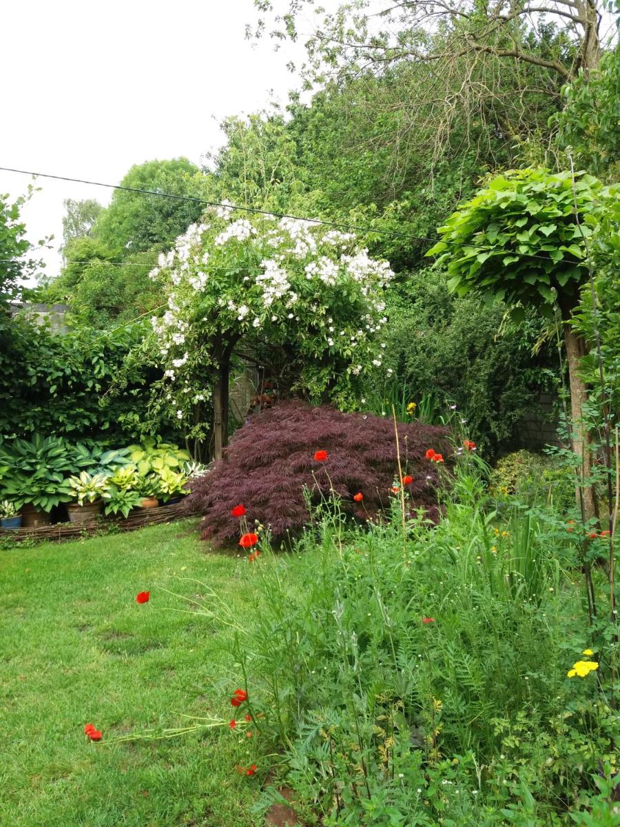 Photo 44