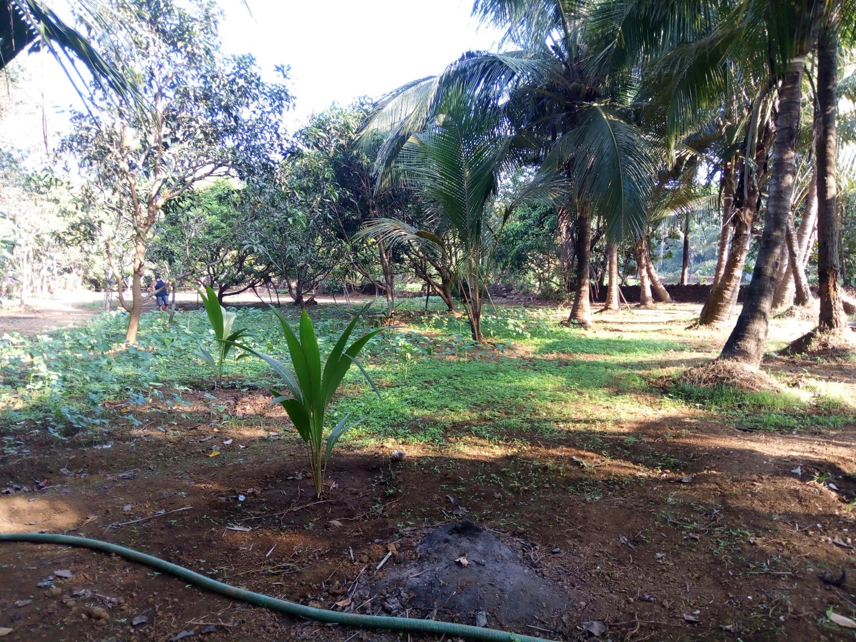 Sachin Ac Apartment view 5