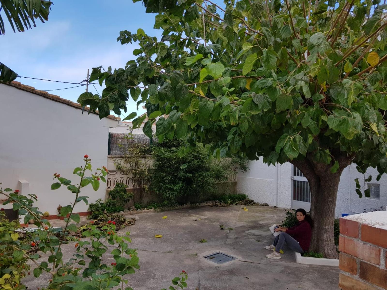Photo 29