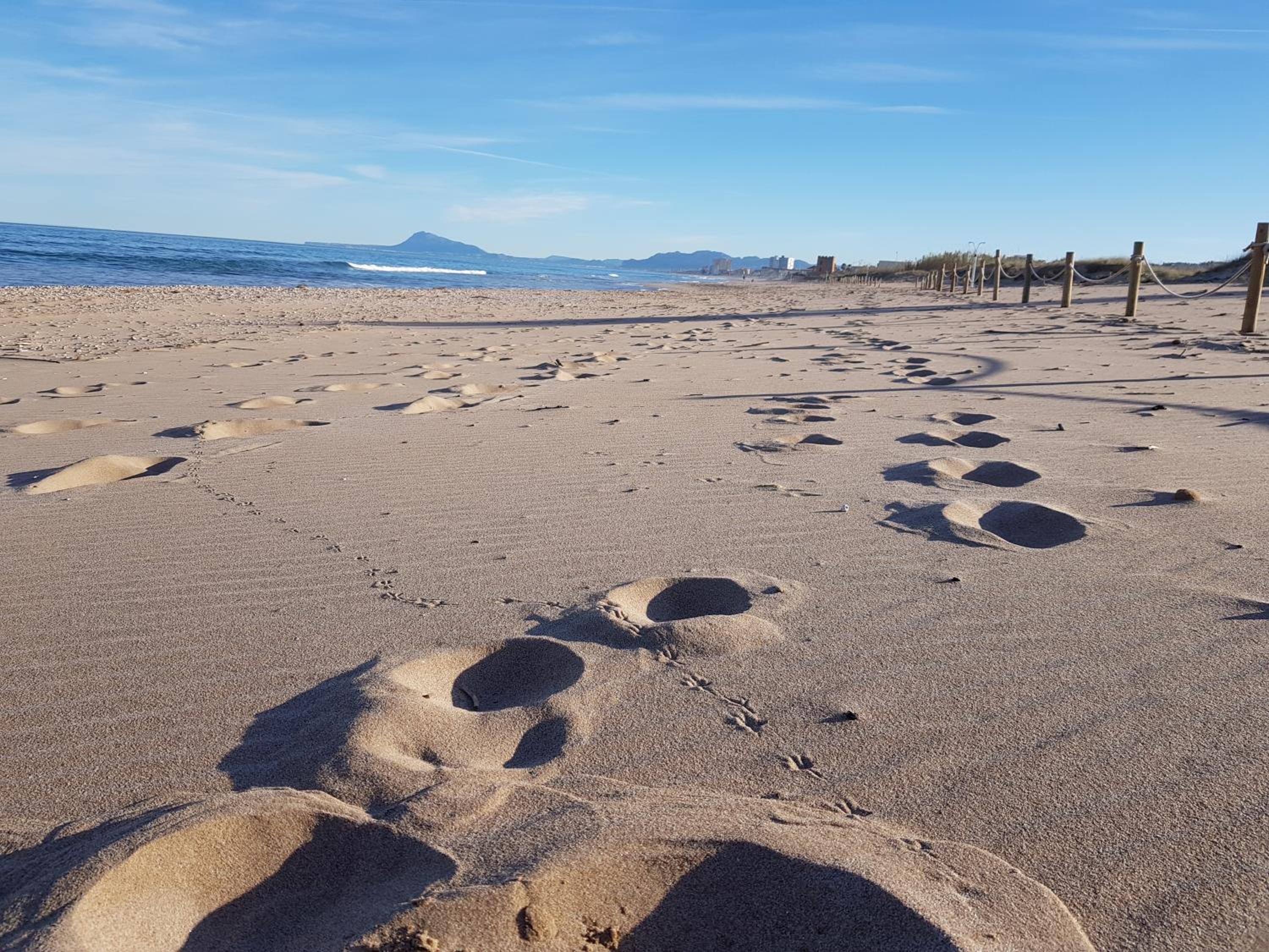 Exclusive Apartment - Playa de Marenys de Rafalcaid view 3