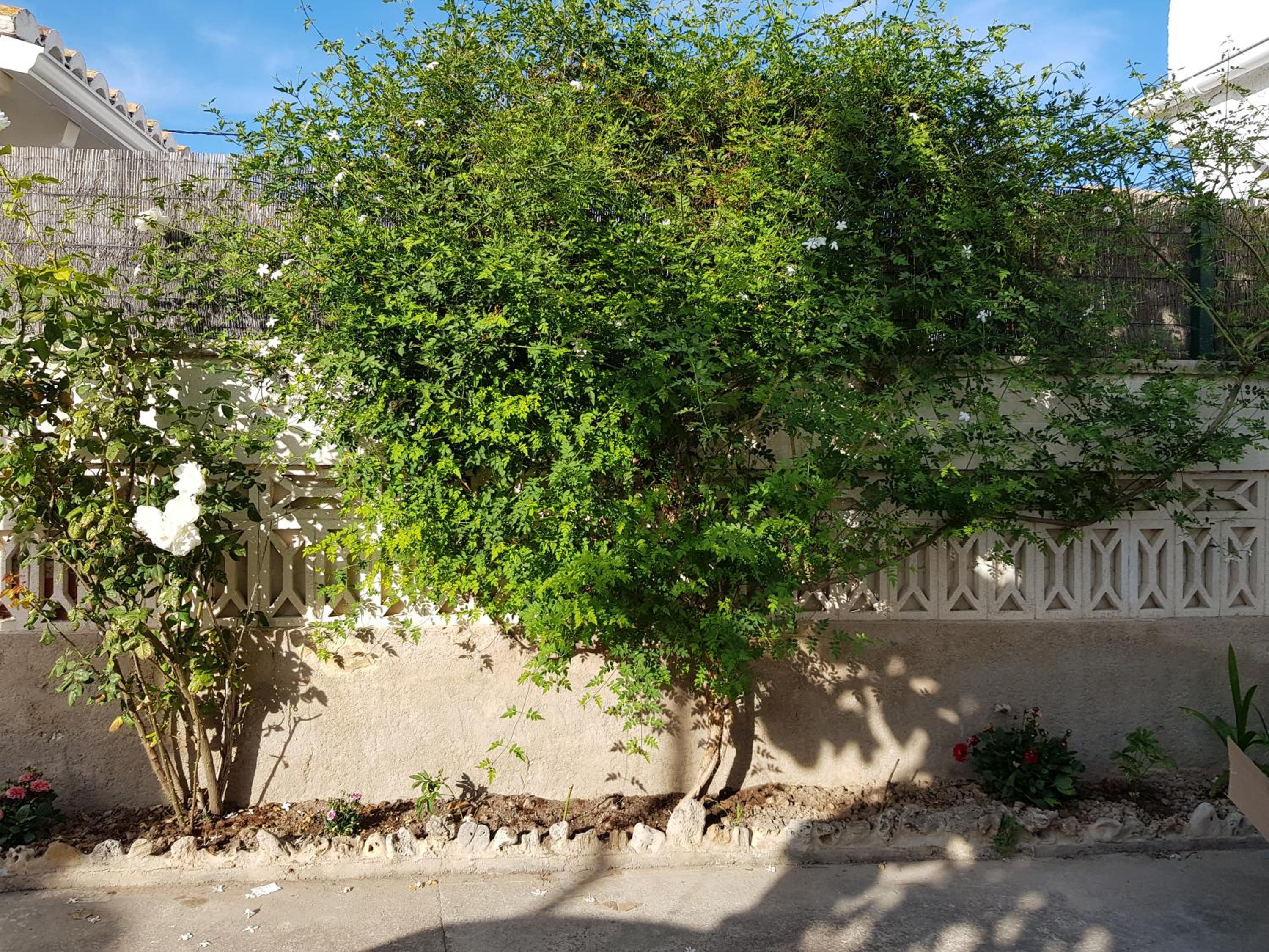 Photo 52