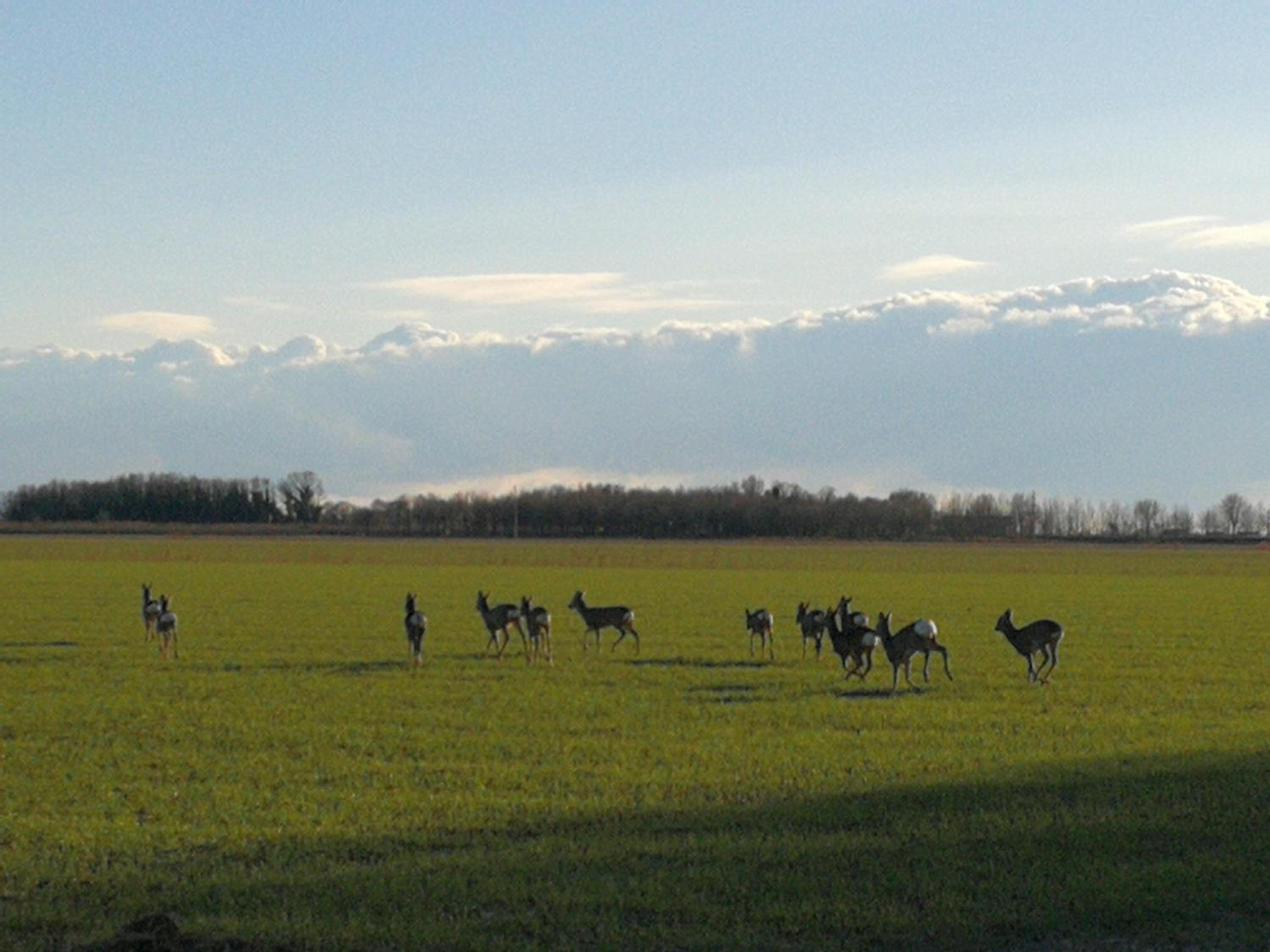 Al Canton Agriturismo di Design
