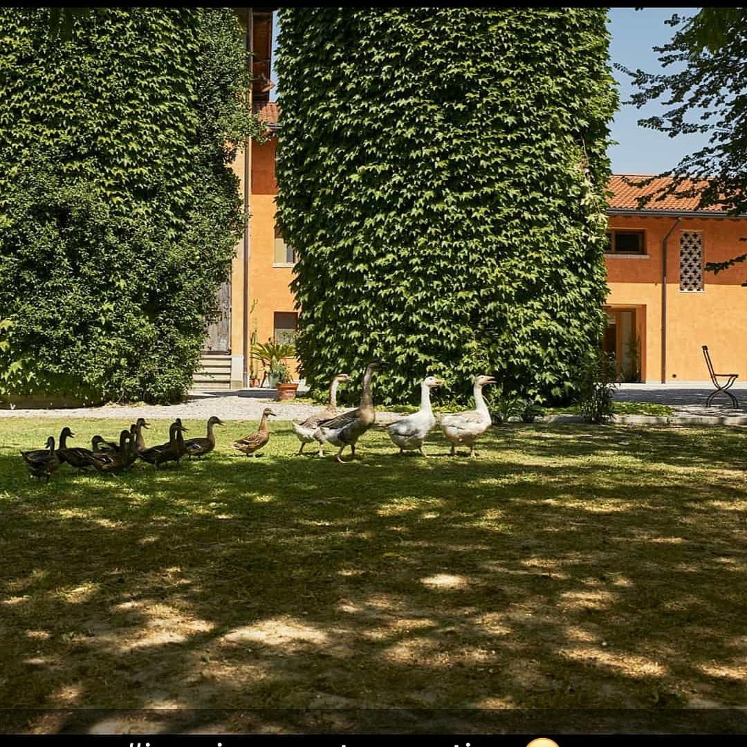 Al Canton Agriturismo di Design
