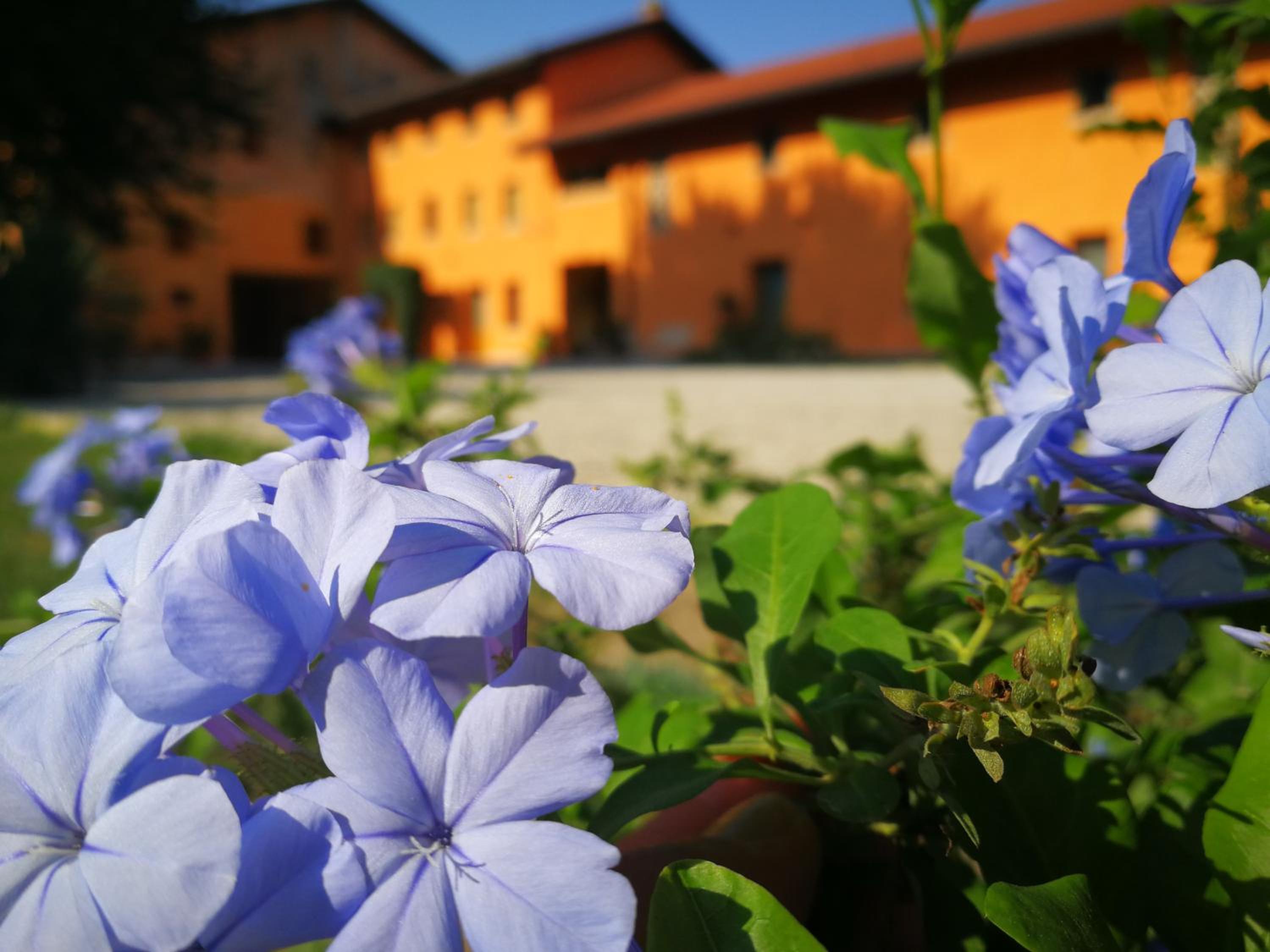 Al Canton Agriturismo di Design