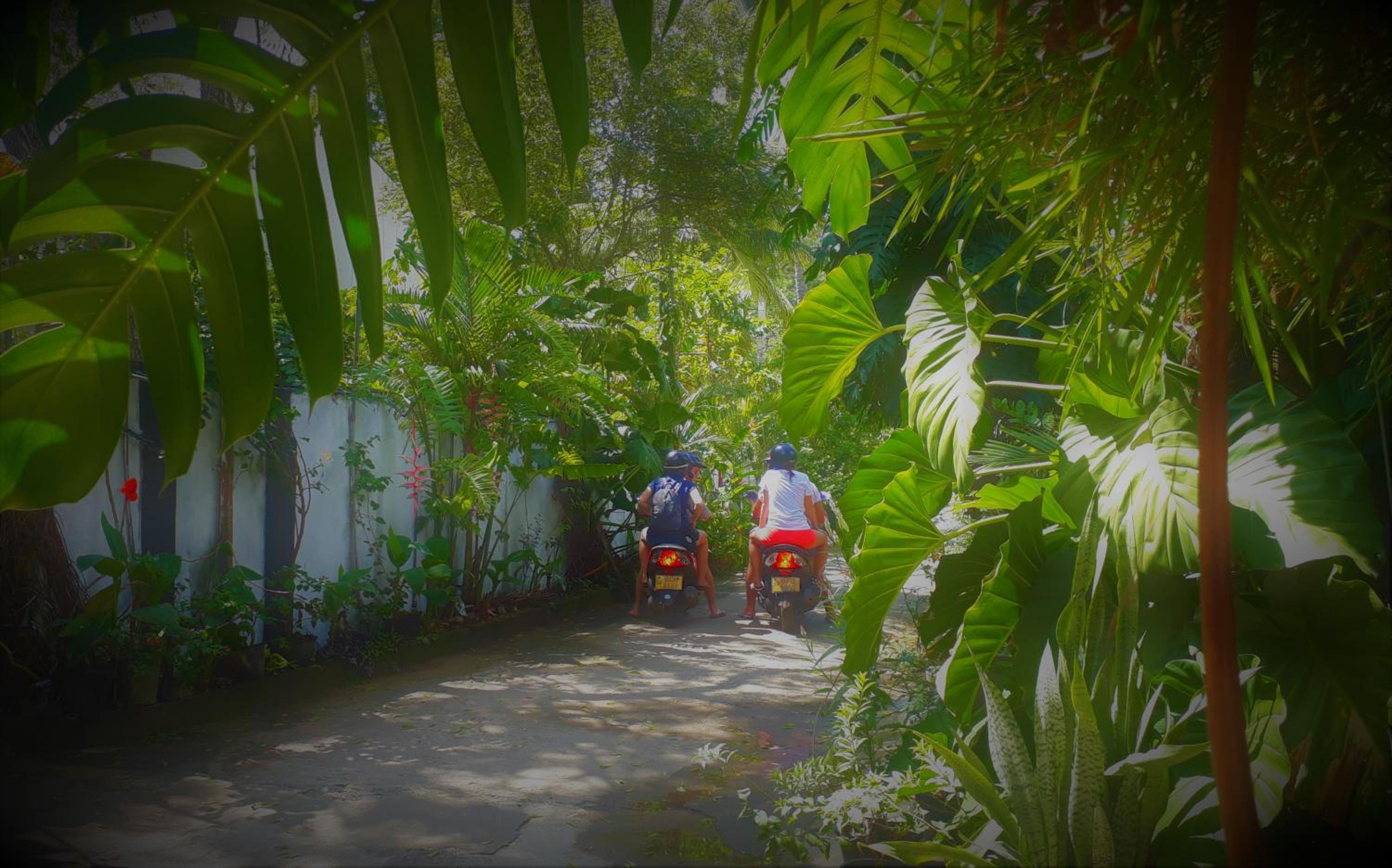 Nooit Gedacht Holiday Resort Unawatuna