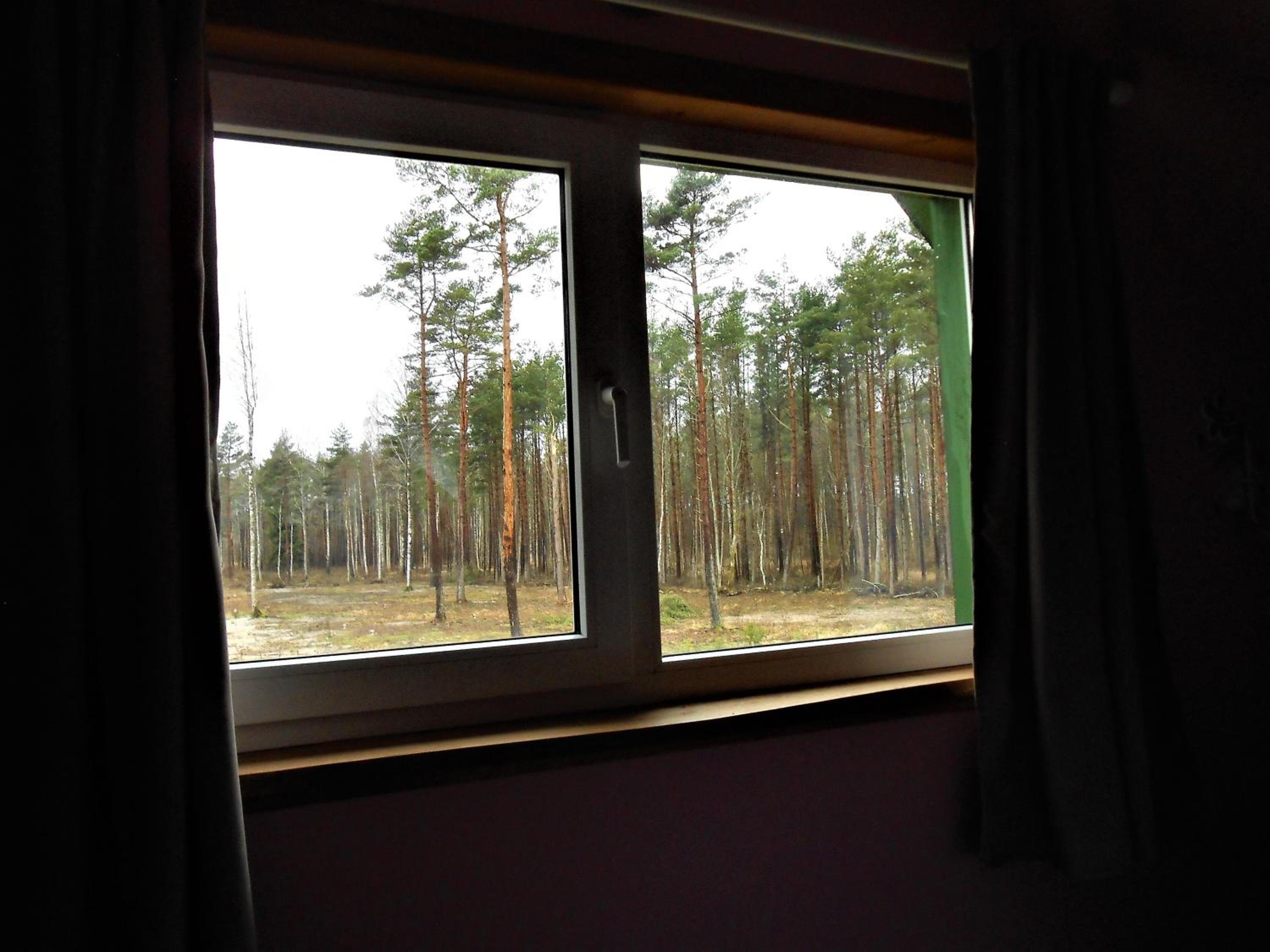 Photo 49