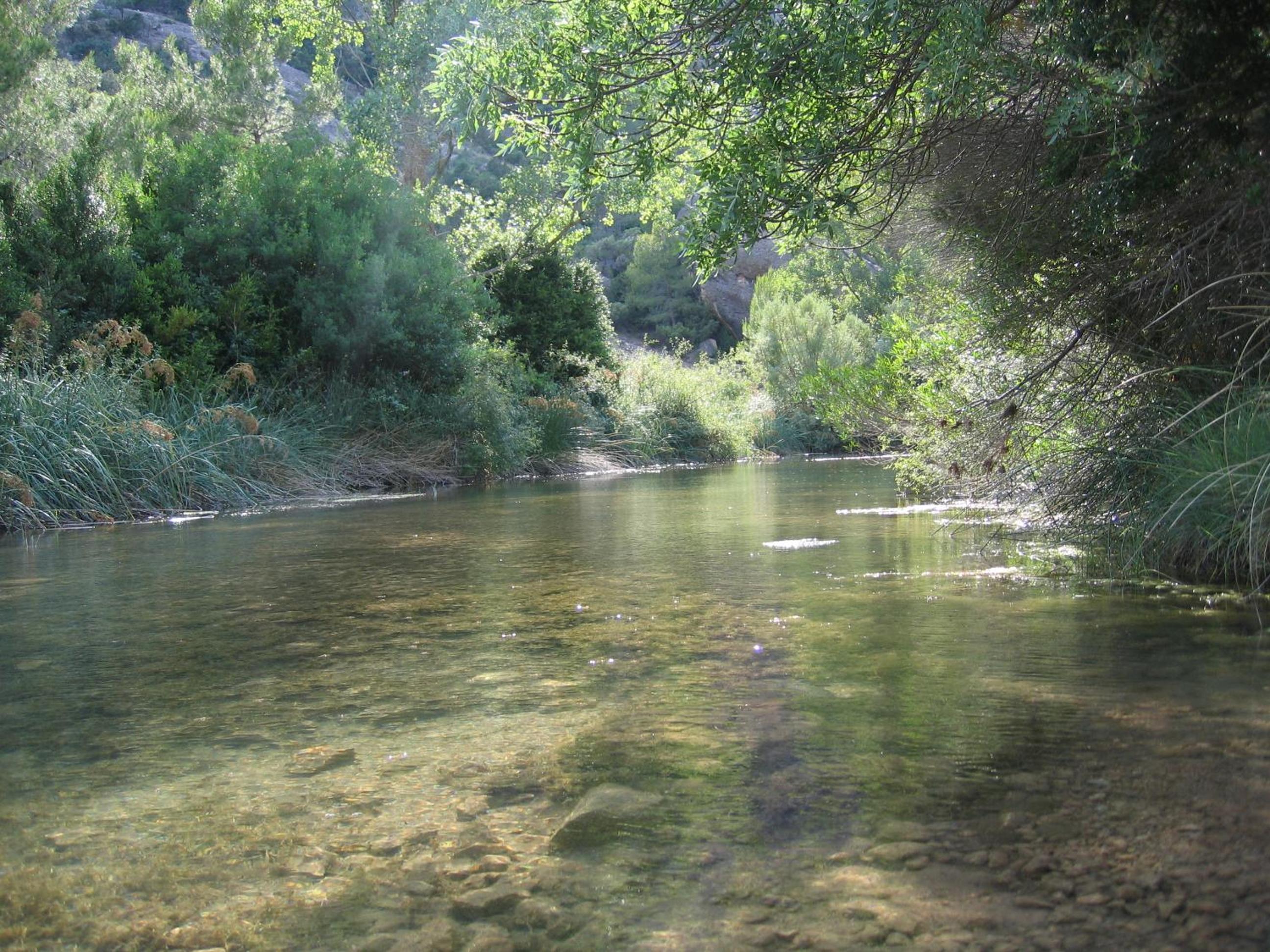 Photo 28