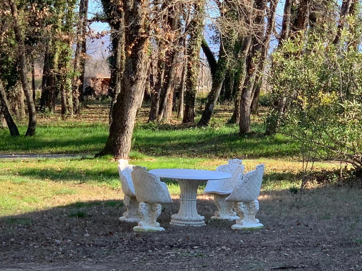 children's play area