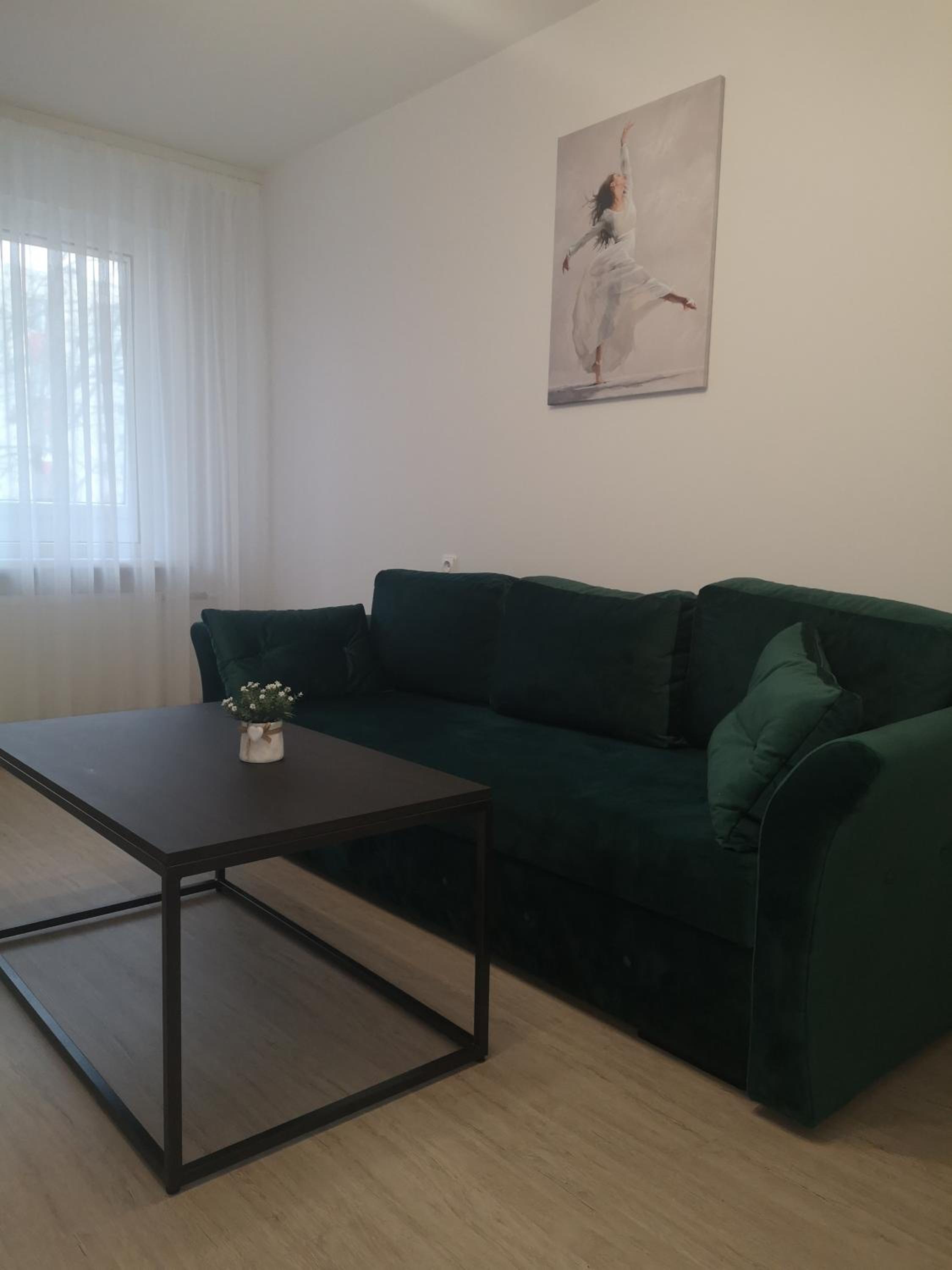 Parko apartamentai view 4