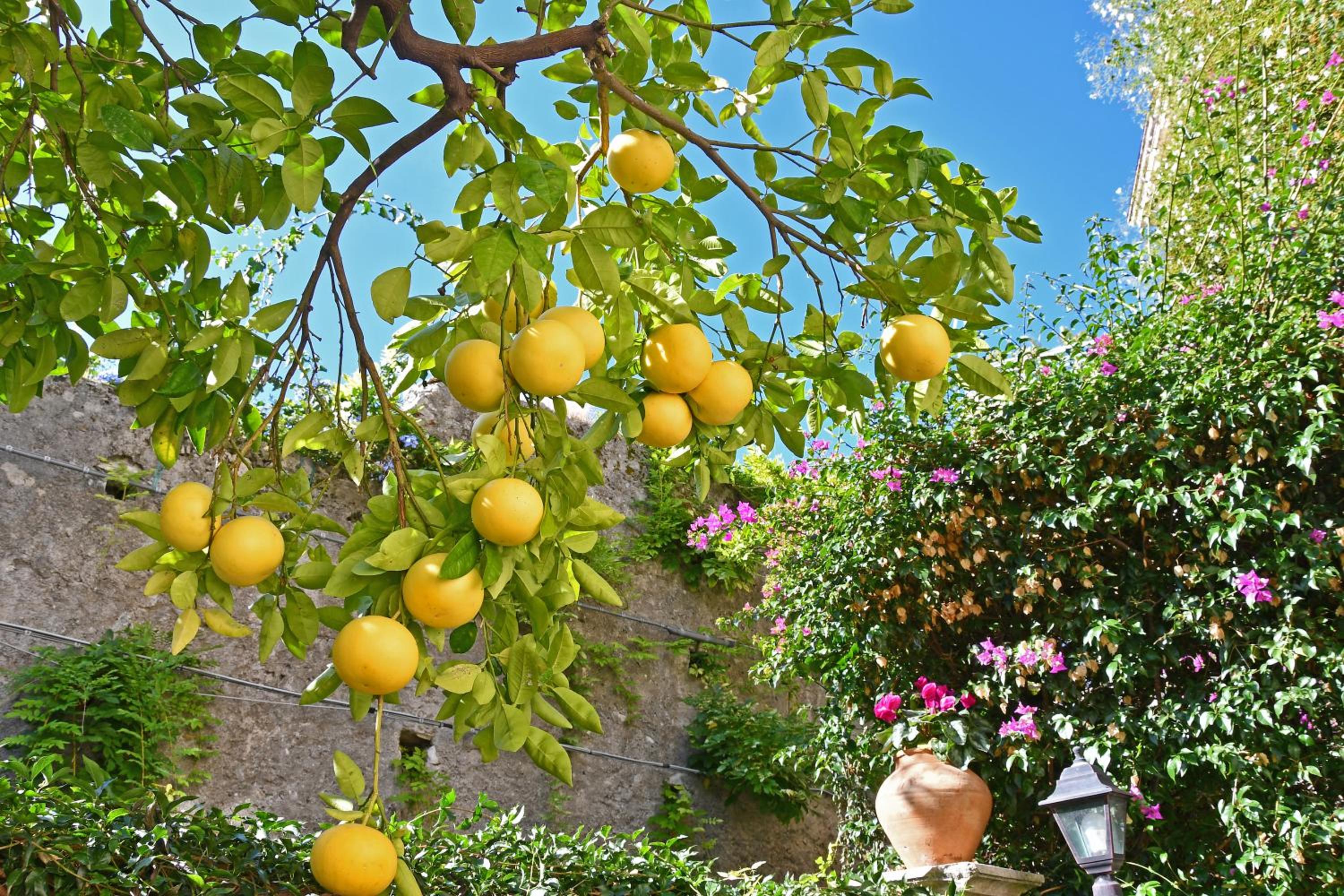 Villa Siciliana Taormina