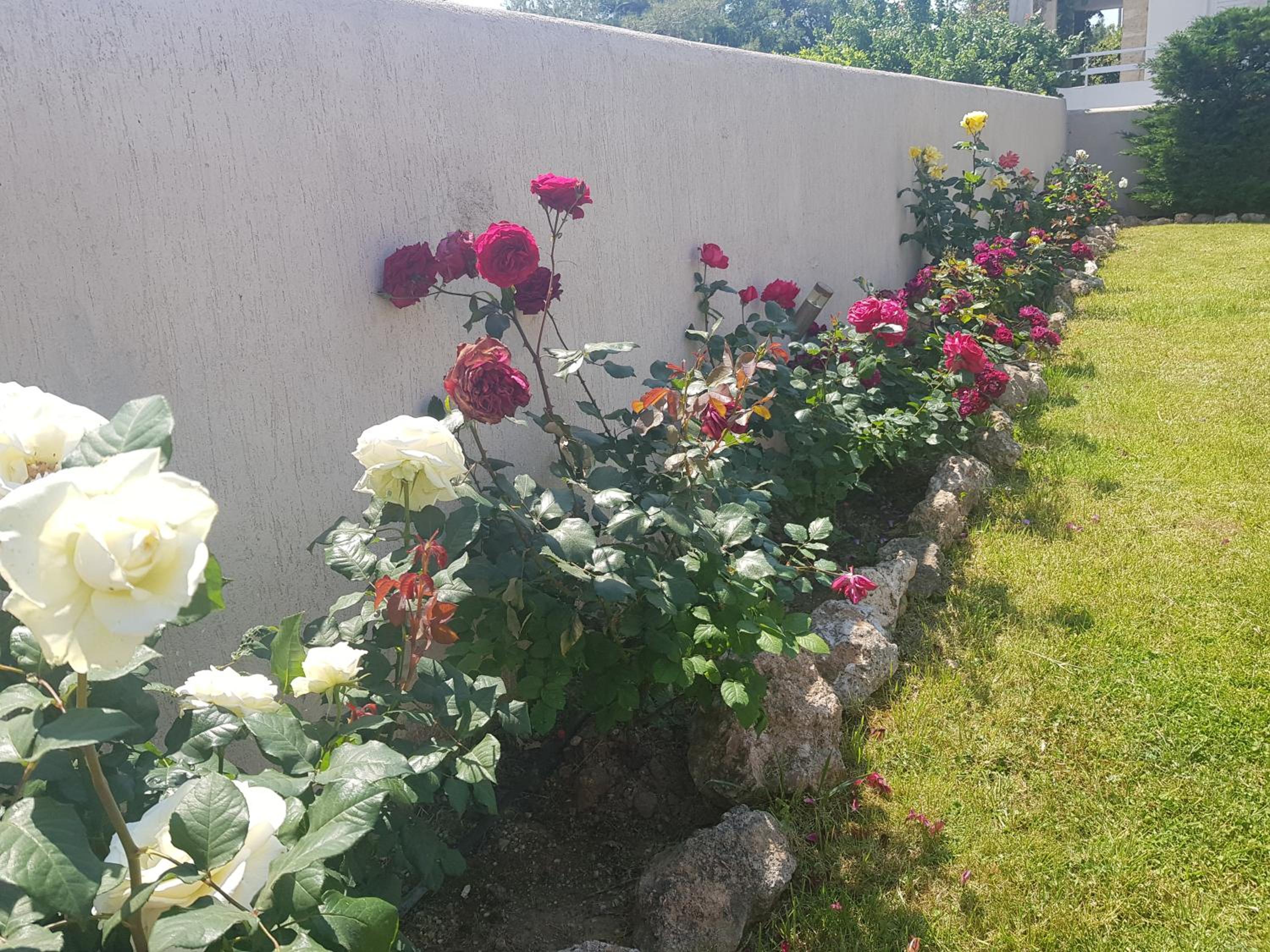 VILLA BY THE SEA VRAVRONA LOUTSA(NEAR THE AIRPORT&METROPOLITAN)