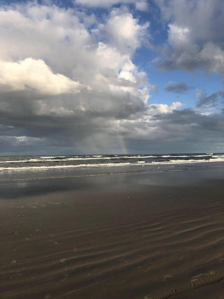 Ocean Oasis 2br With Amazing Views! view 5