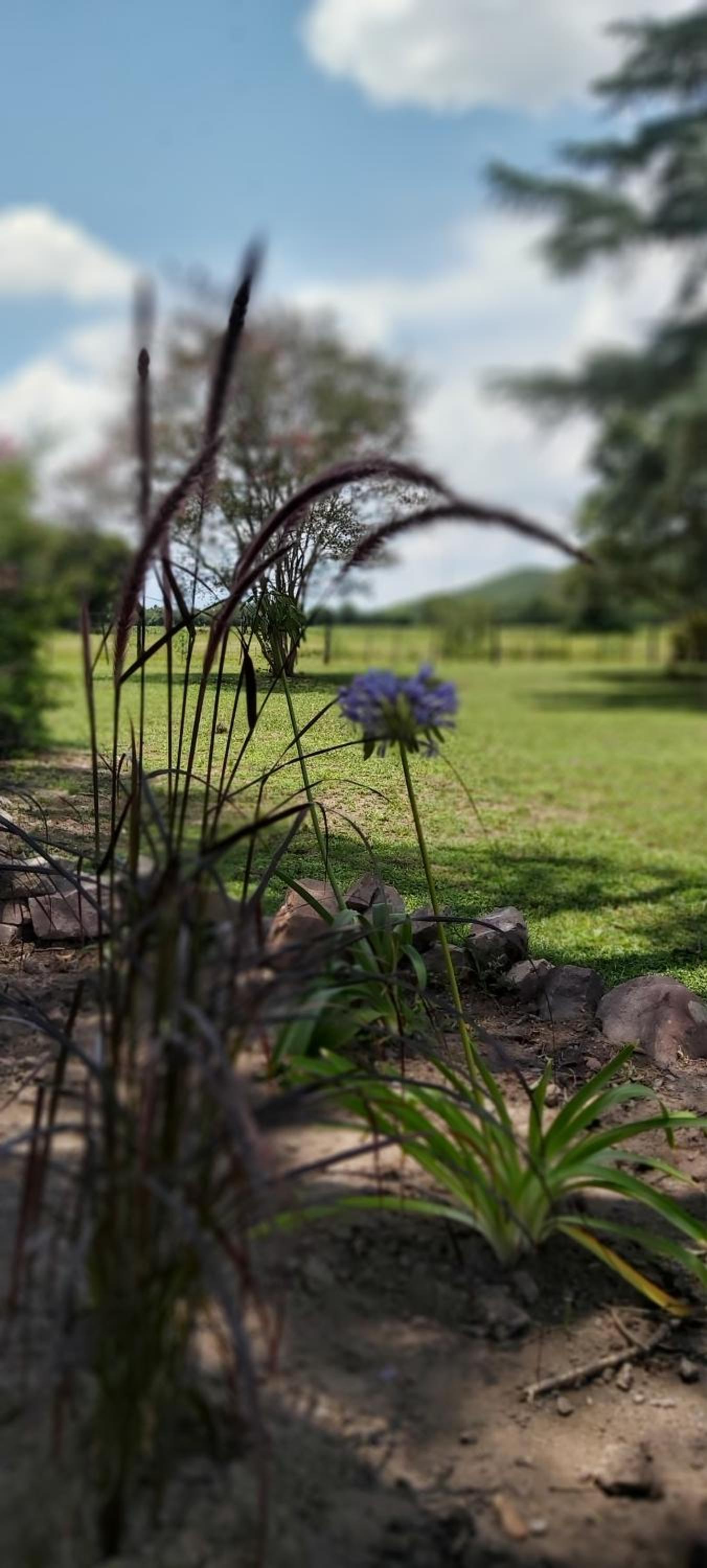 Finca La Secundina
