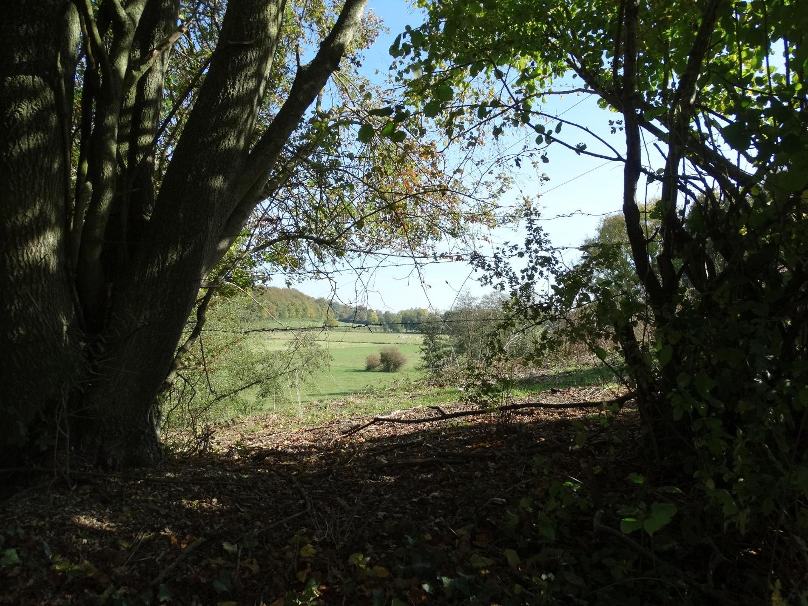 Photo 22