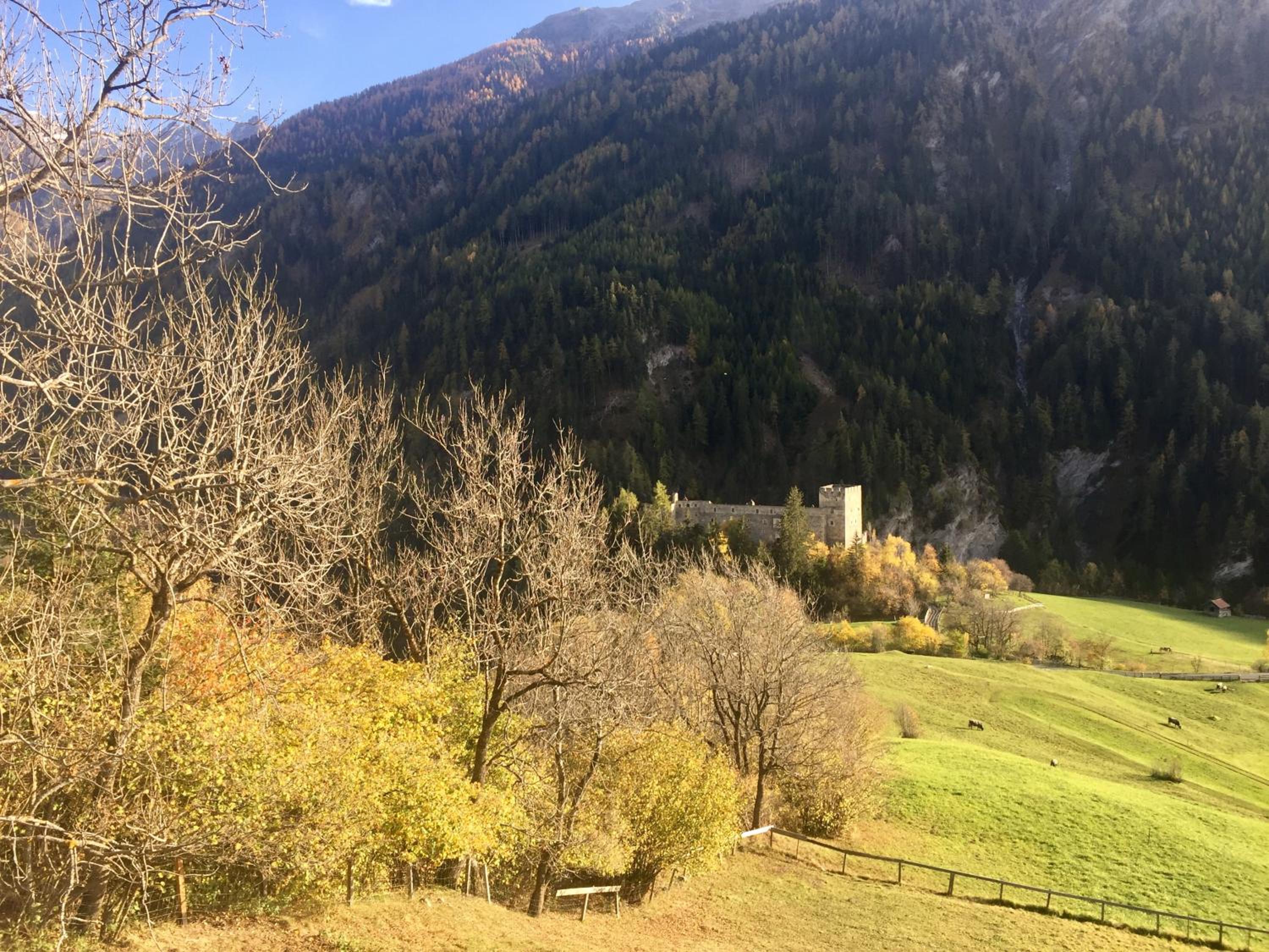 Photo 14