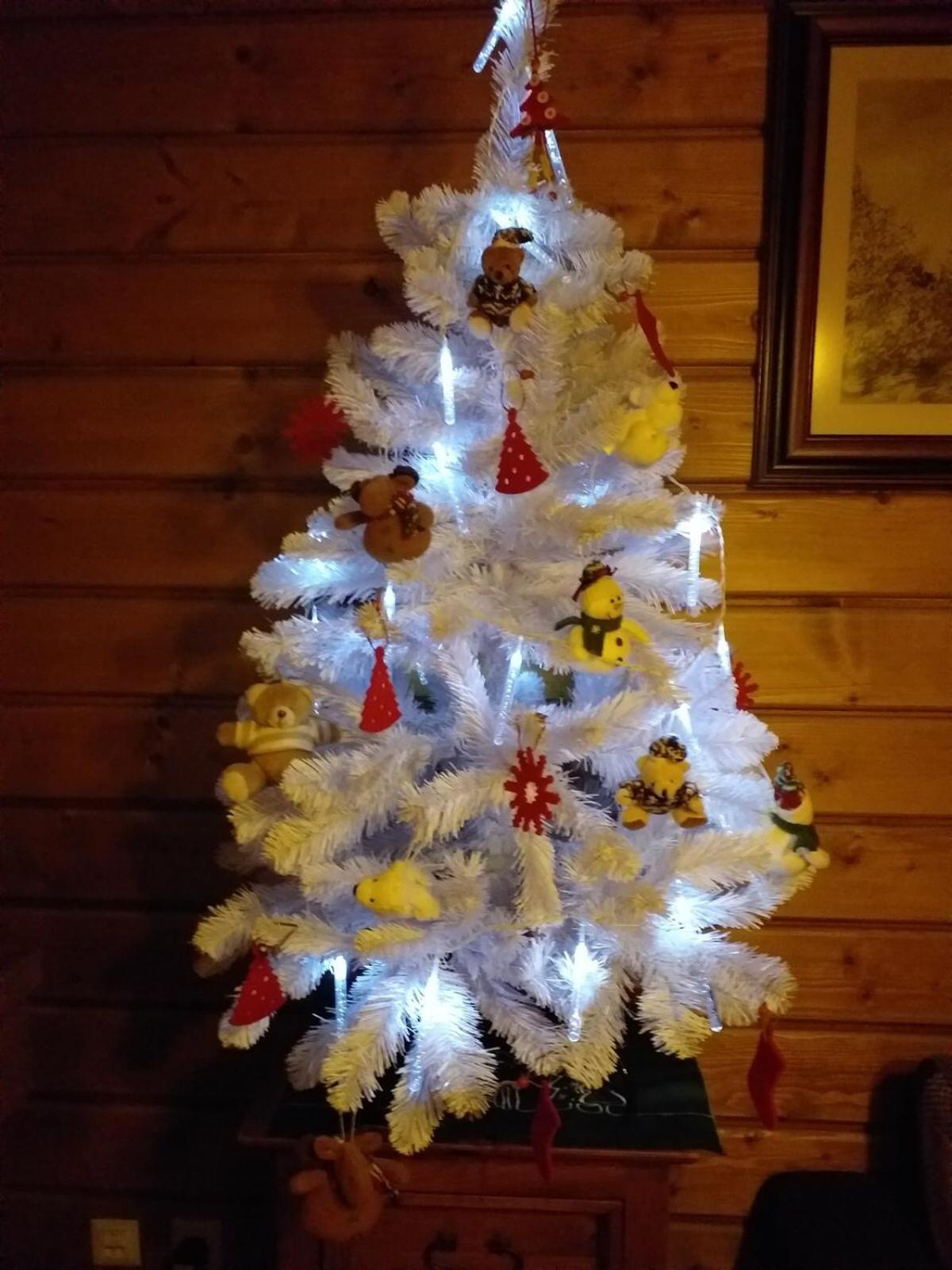 Photo 51