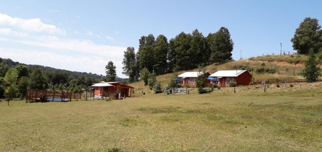 Cabañas Antu-Mapu