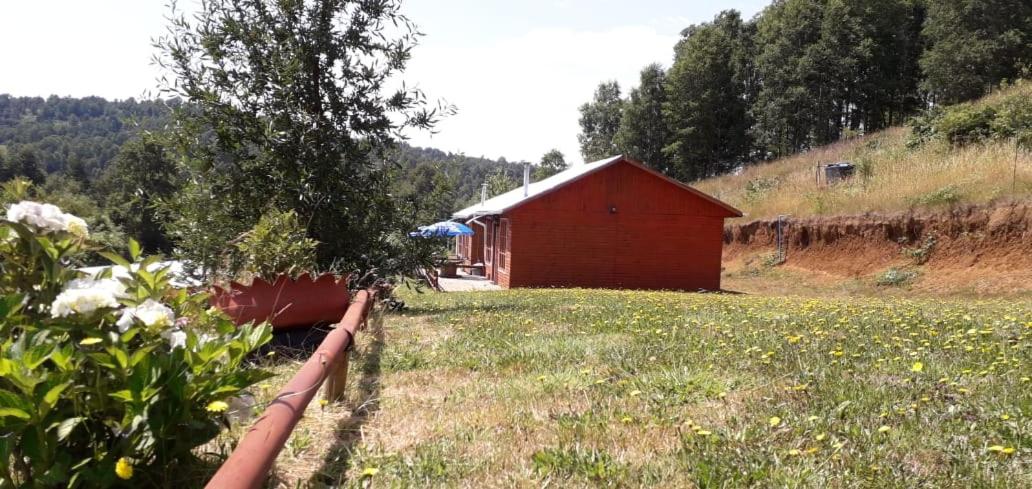 Cabañas Antu-Mapu