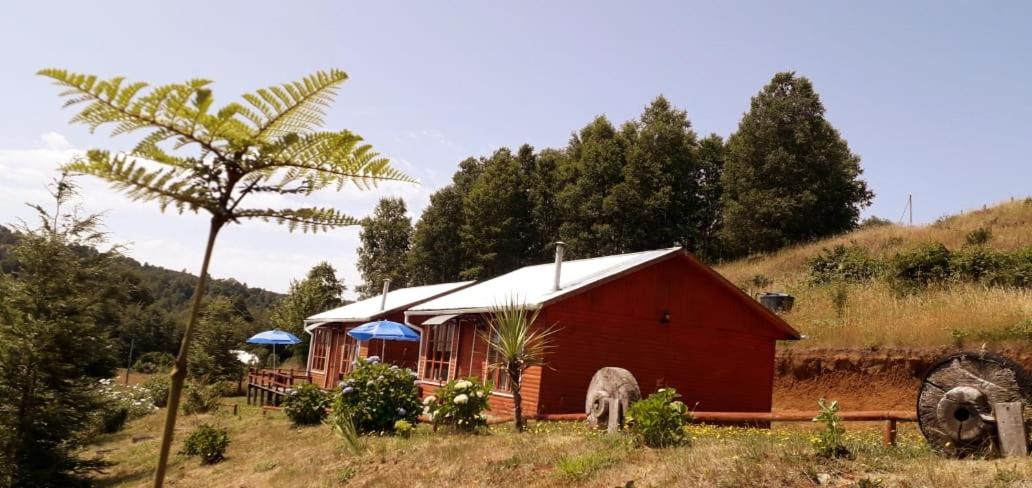 Cabañas Antu-Mapu