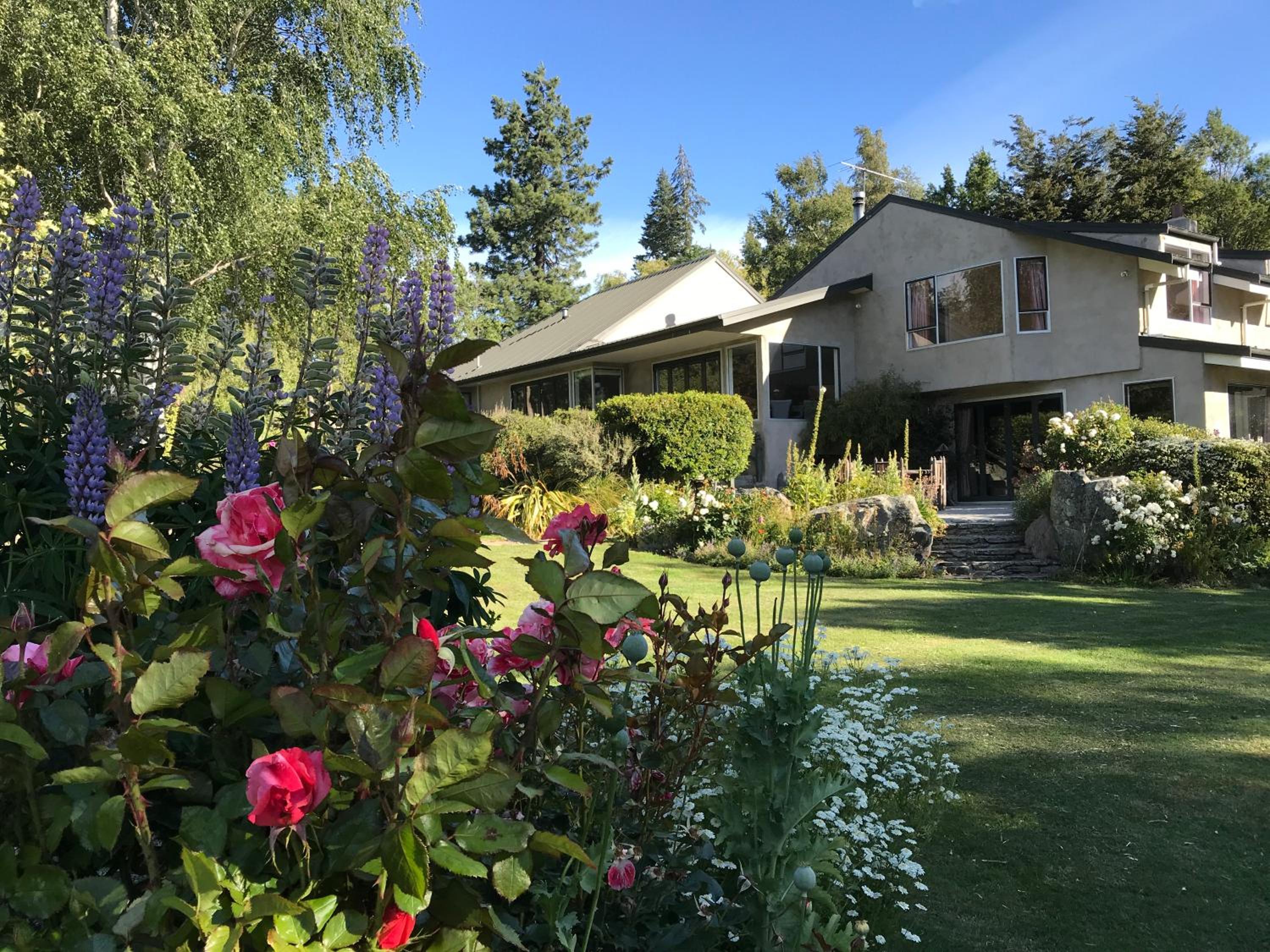 Star Dream Manor view 2