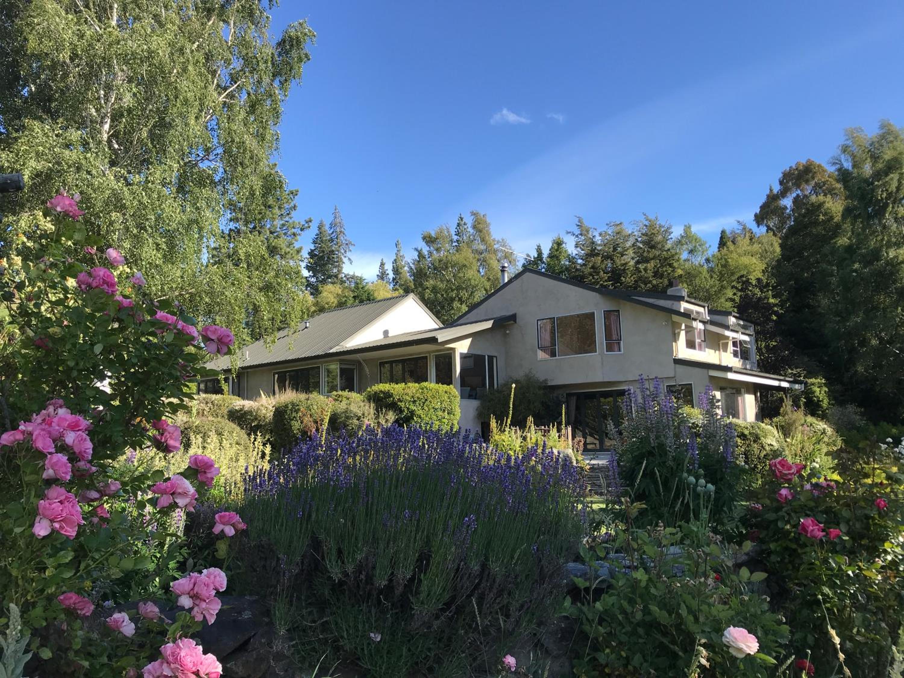Star Dream Manor view 3