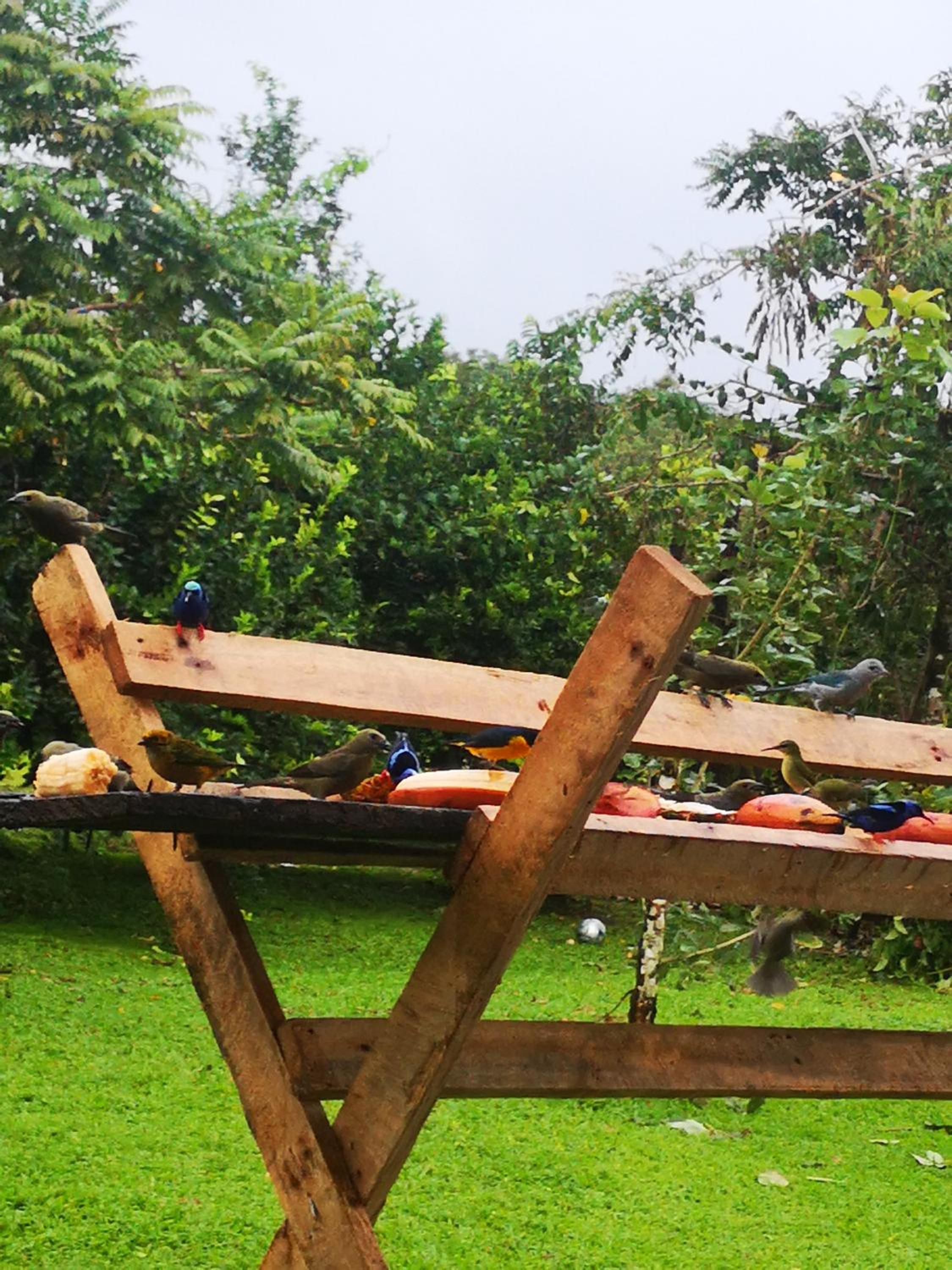 Tío Felix Eco Lodge