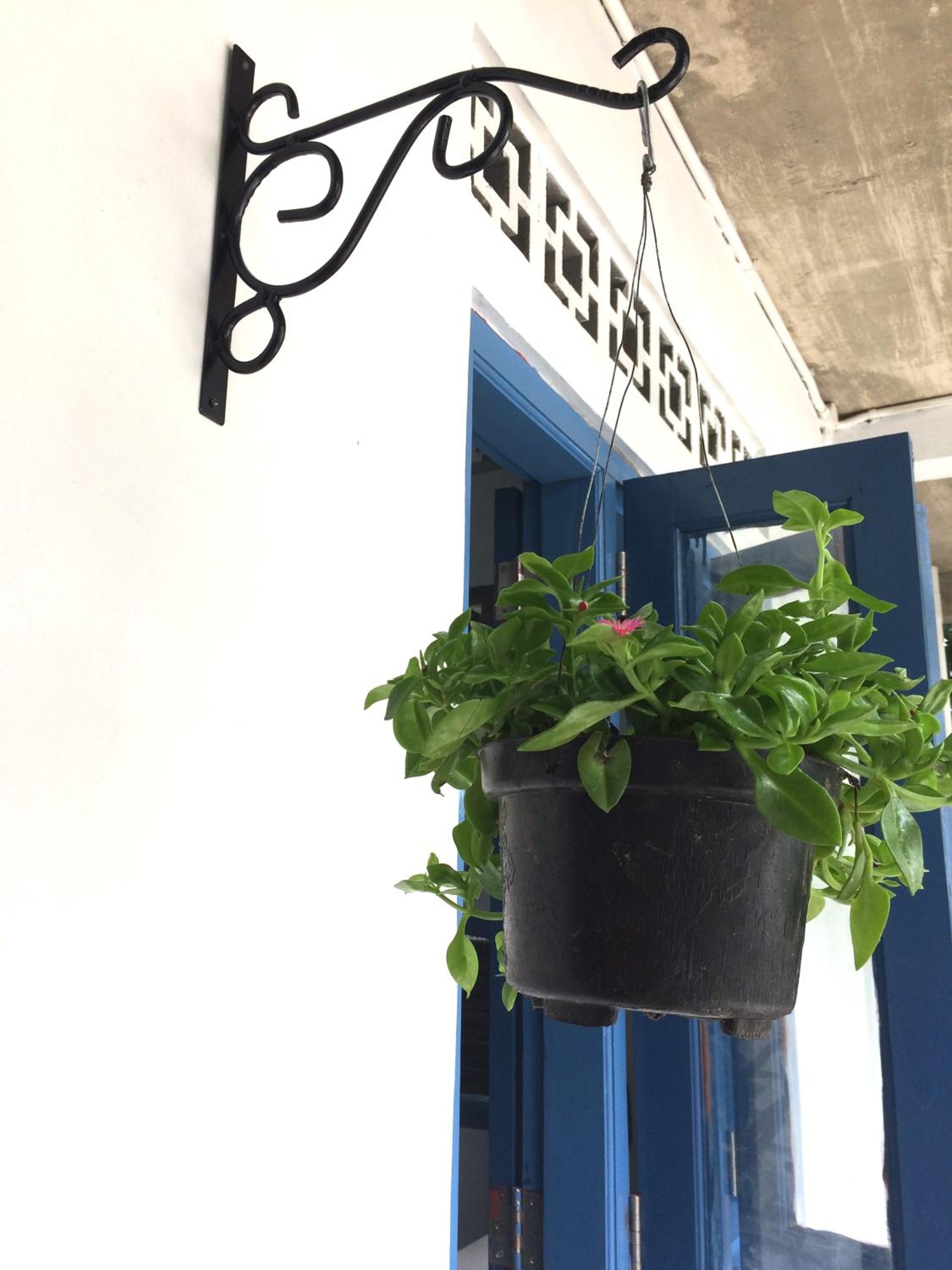 "NOMORE" Gallery and Guesthouse - Image 2