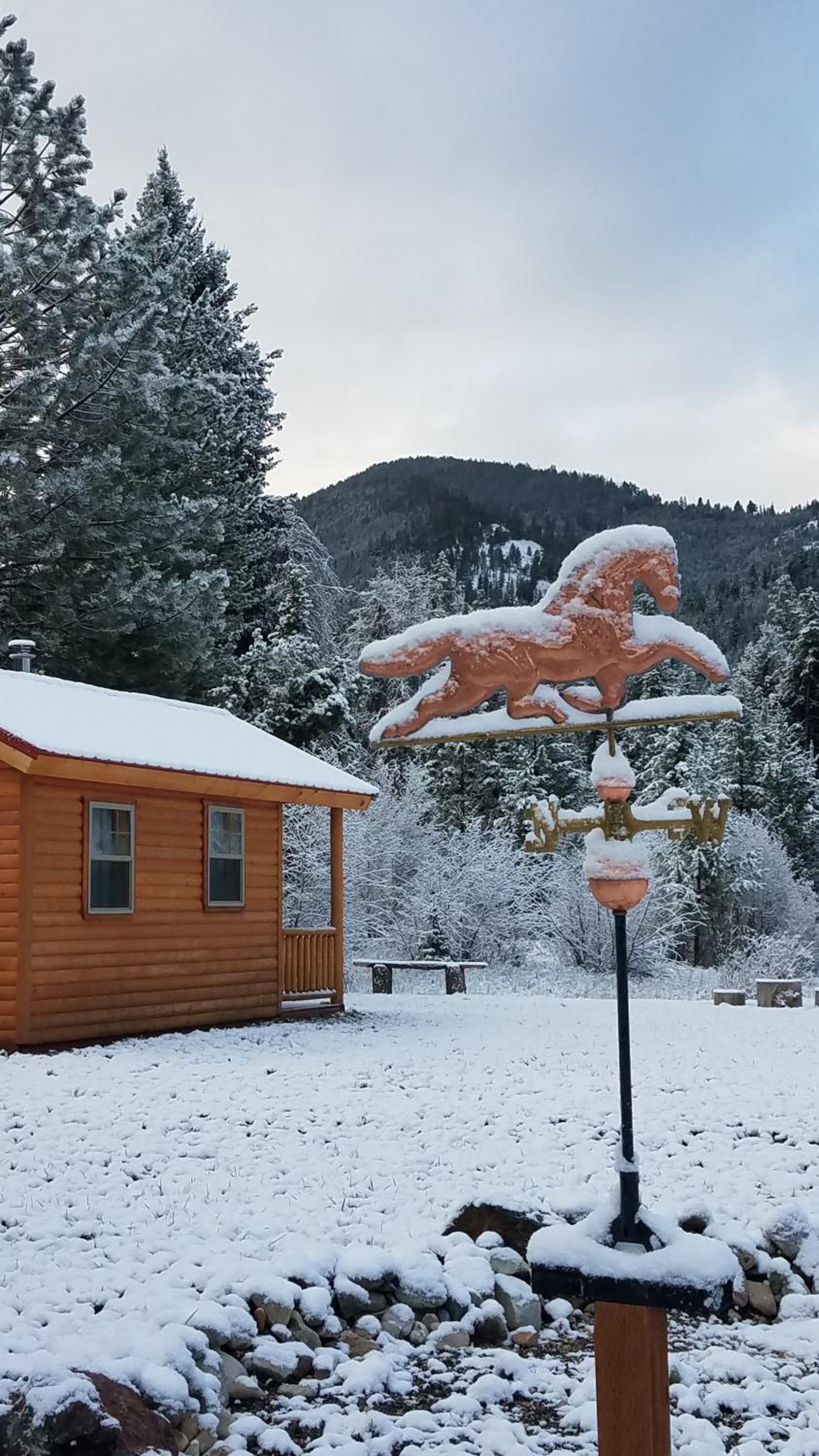 The Wild Game Inn