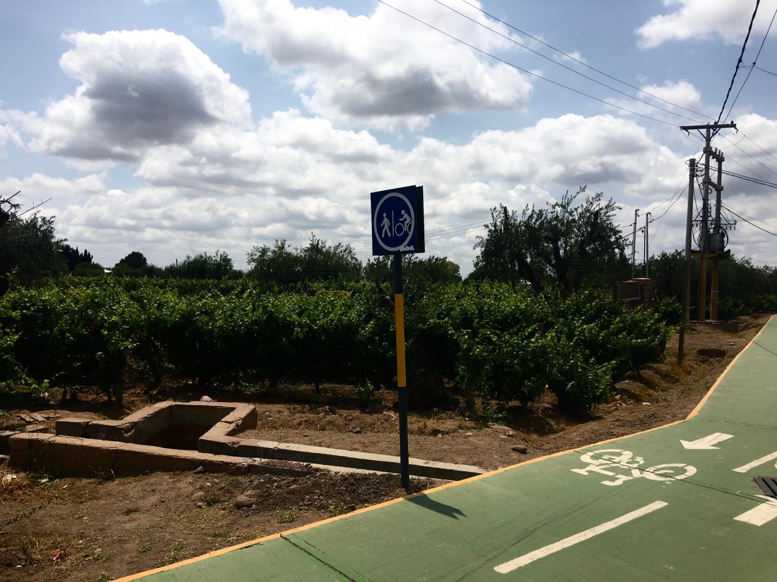 Departamento en Luján de Cuyo, Perfecta ubicación para visitar viñedos!