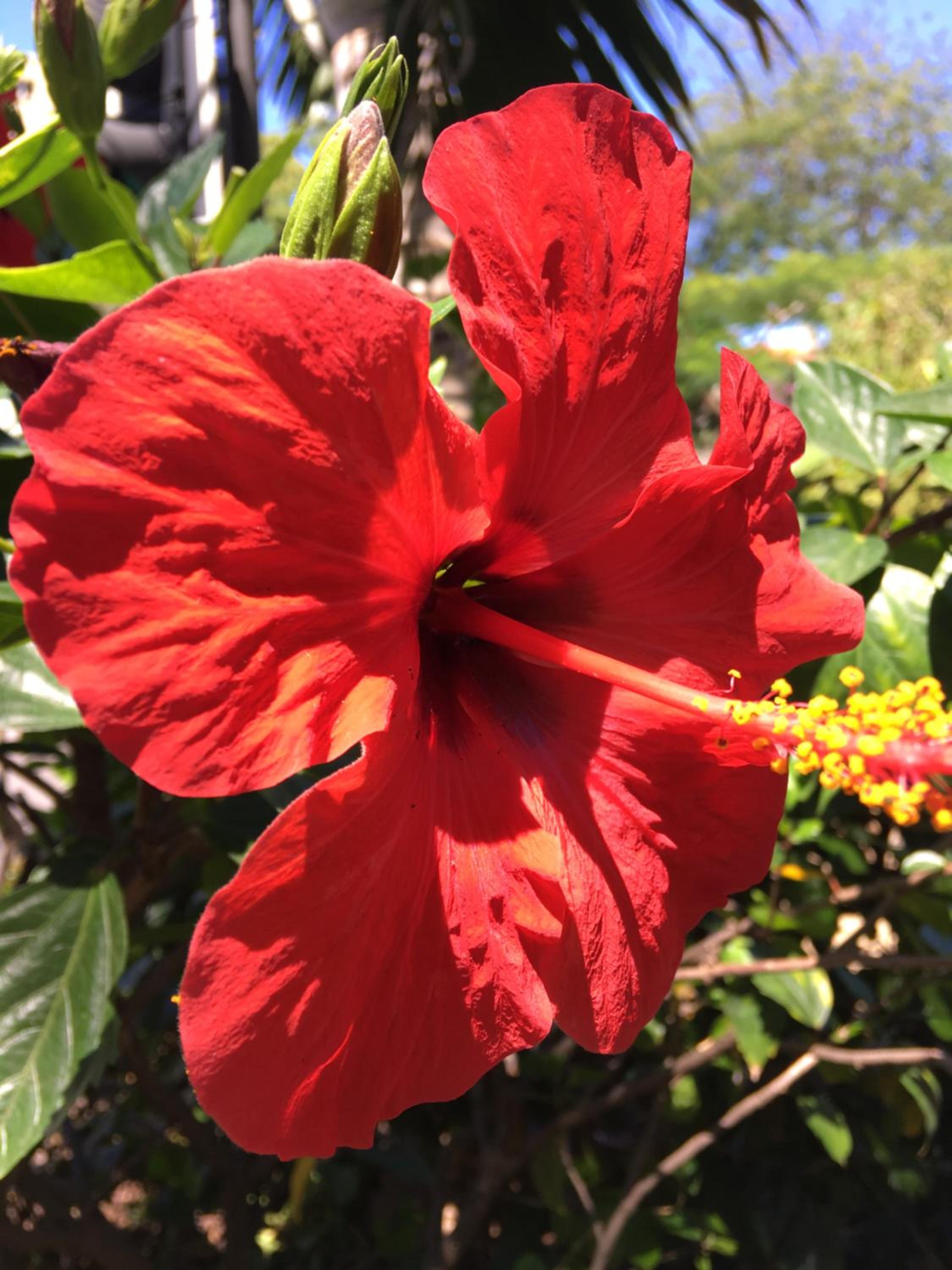 Tradewinds Lodge