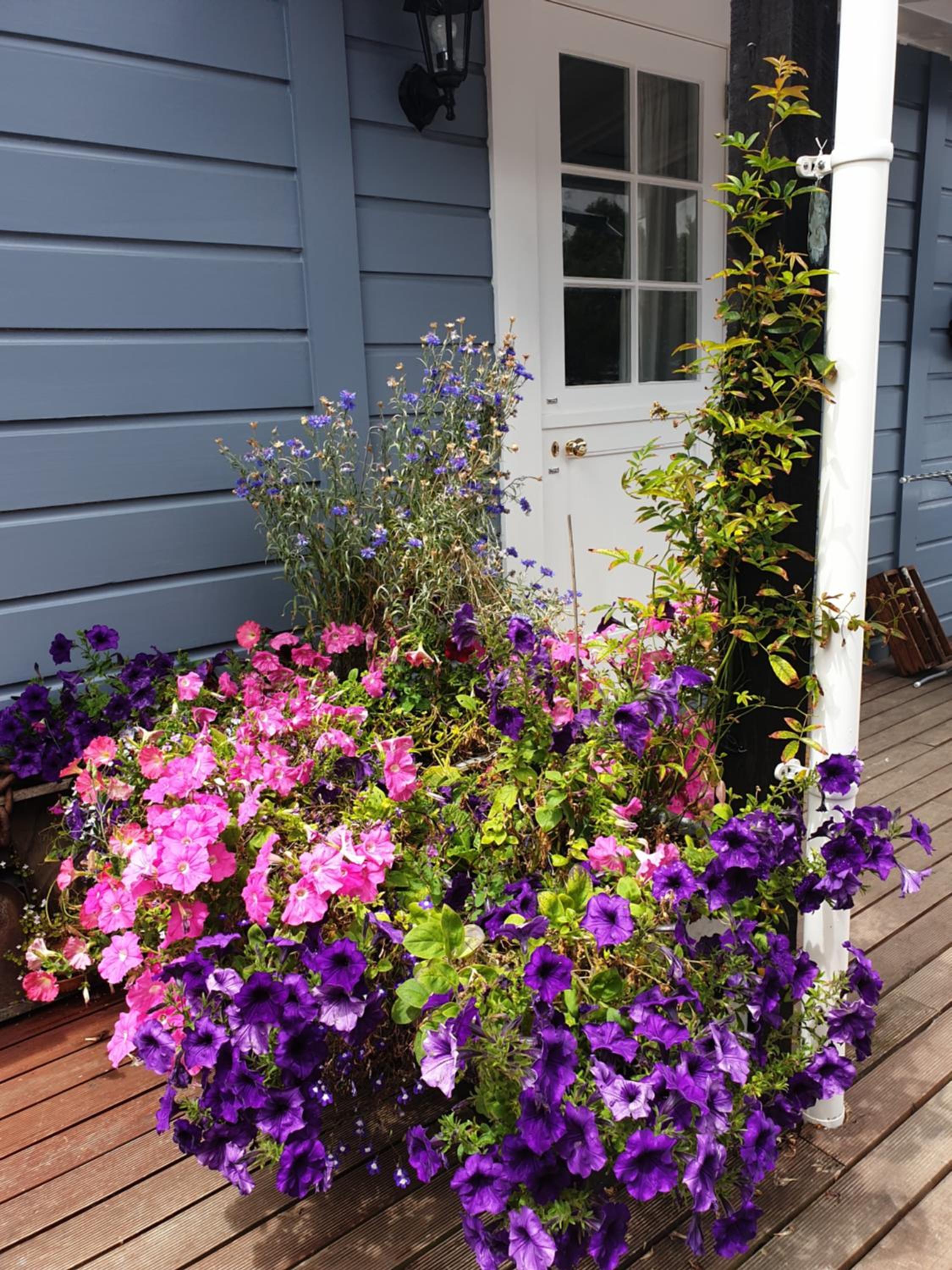 Photo 87