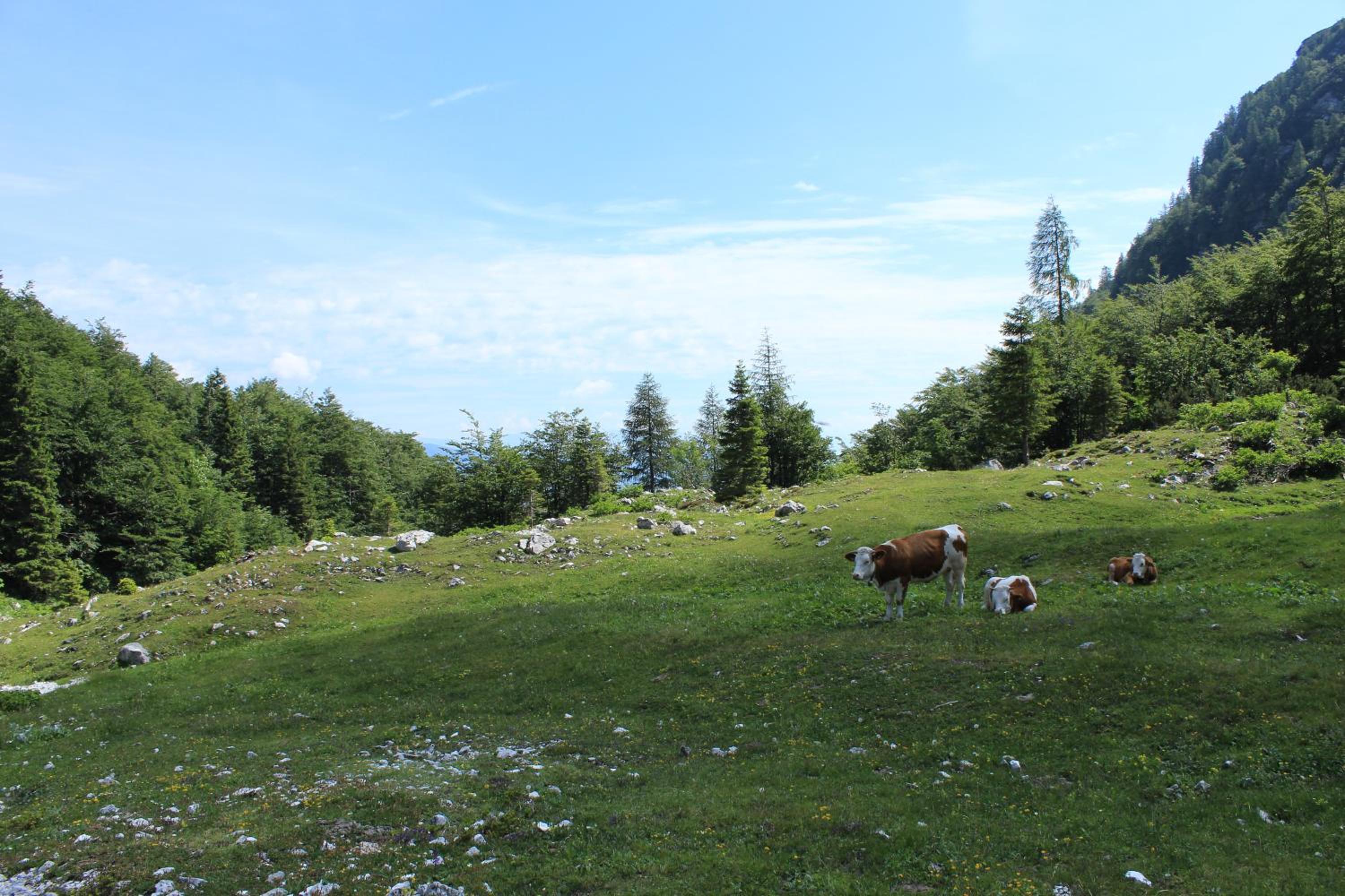 Photo 47