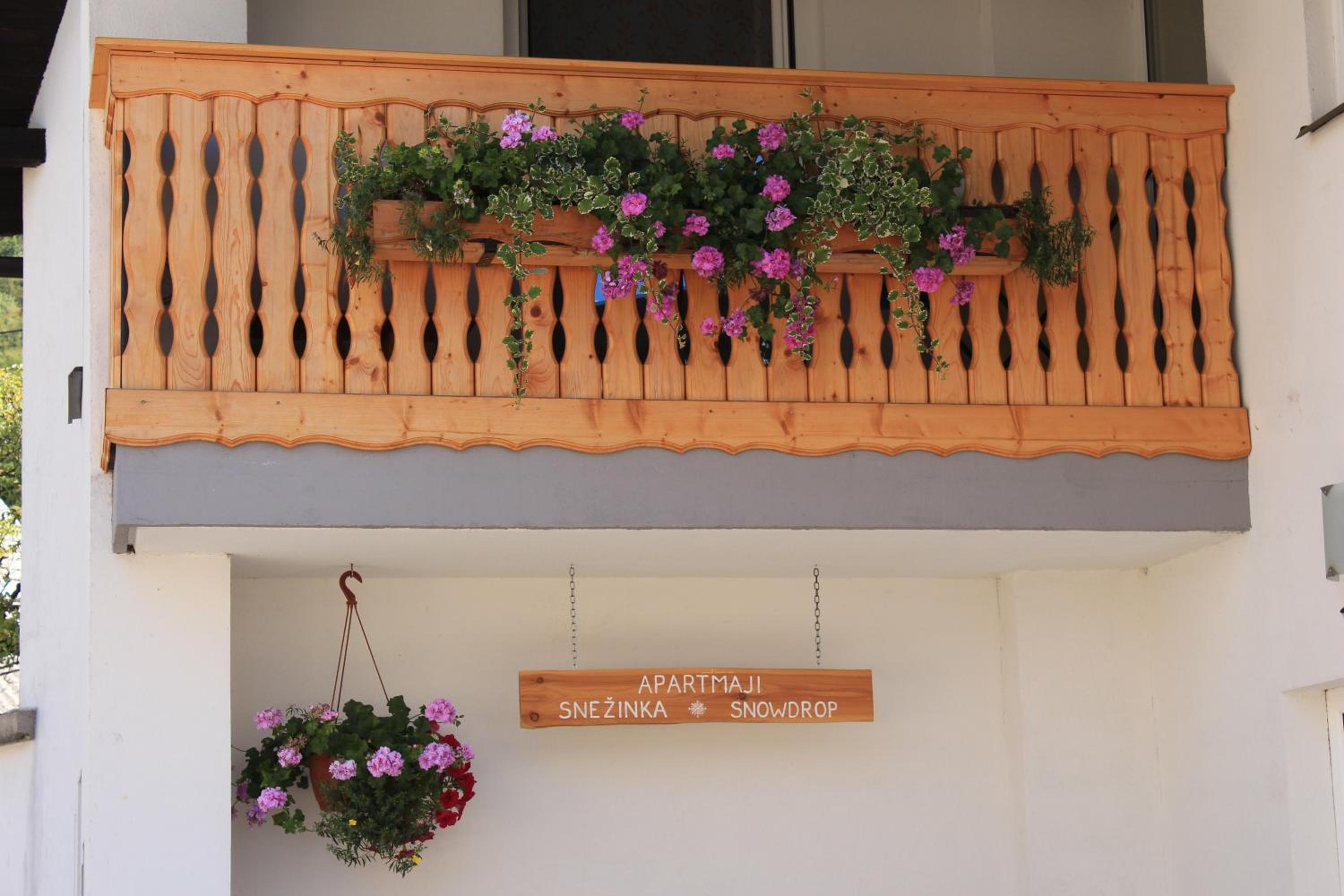 Photo 43
