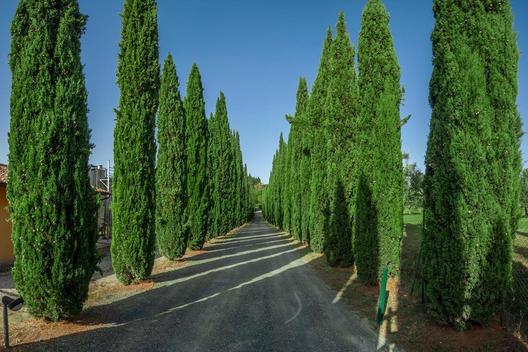 Tenuta Moriano