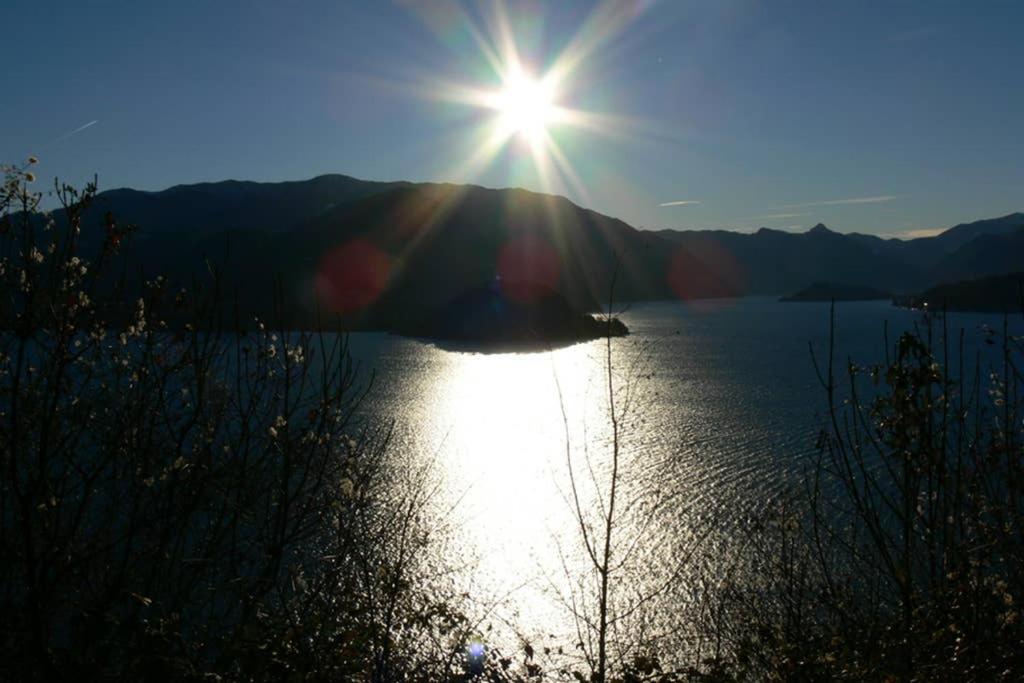 Luci sul Lago - A Real Paradise view 5