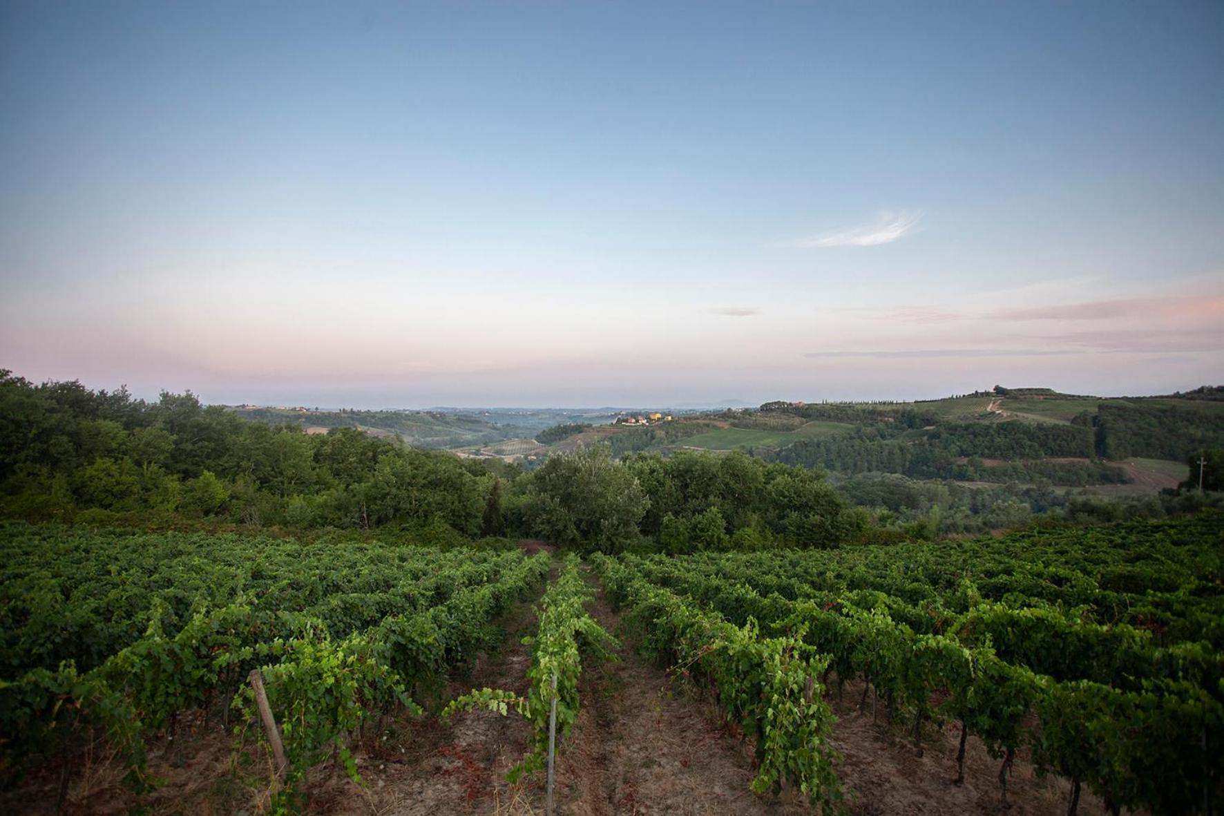 Tenuta Moriano