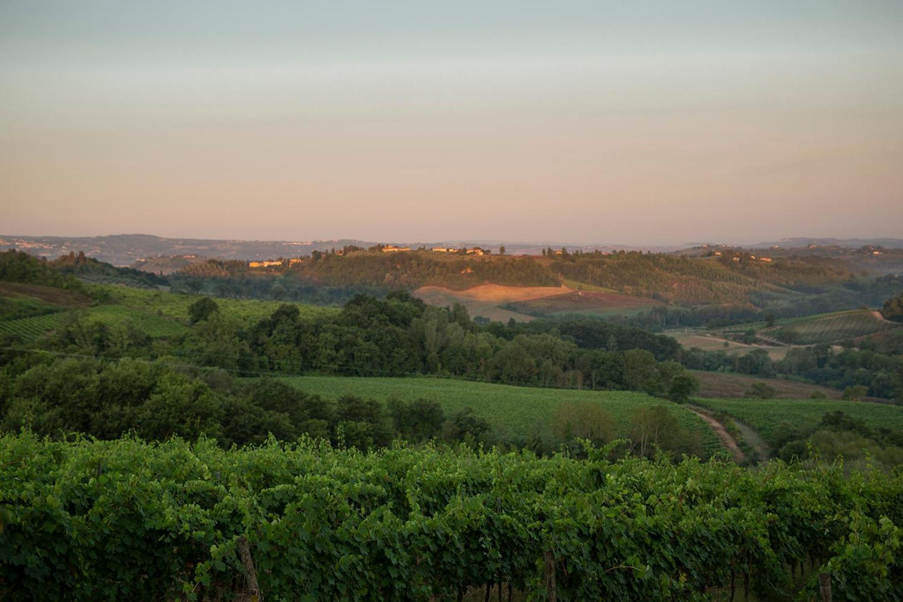Tenuta Moriano
