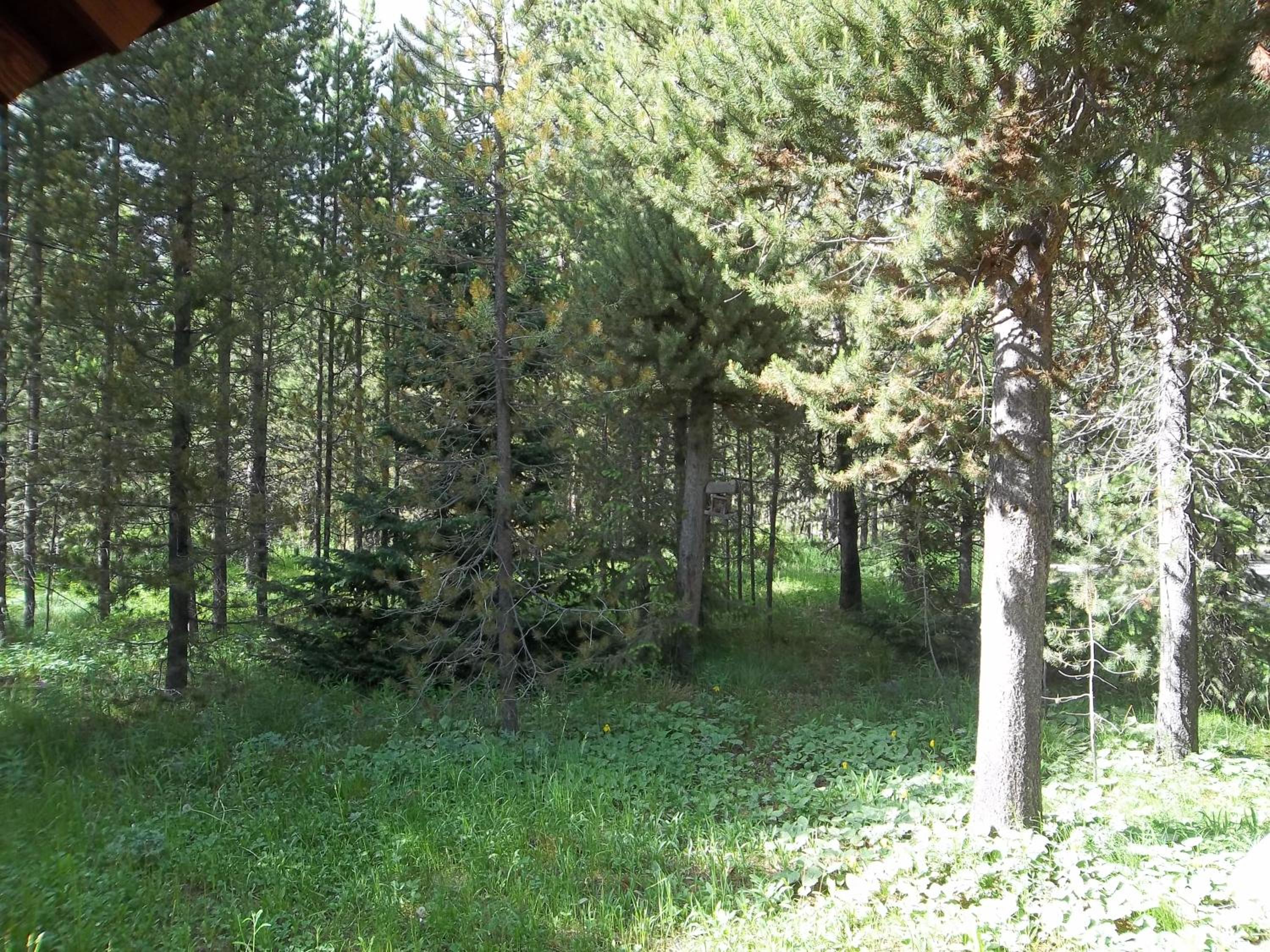 Photo 23