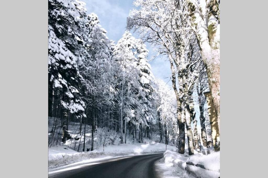 Val di Luce Home